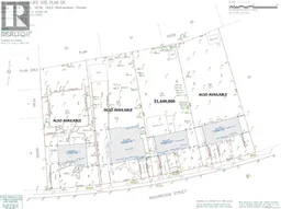 history photo preview