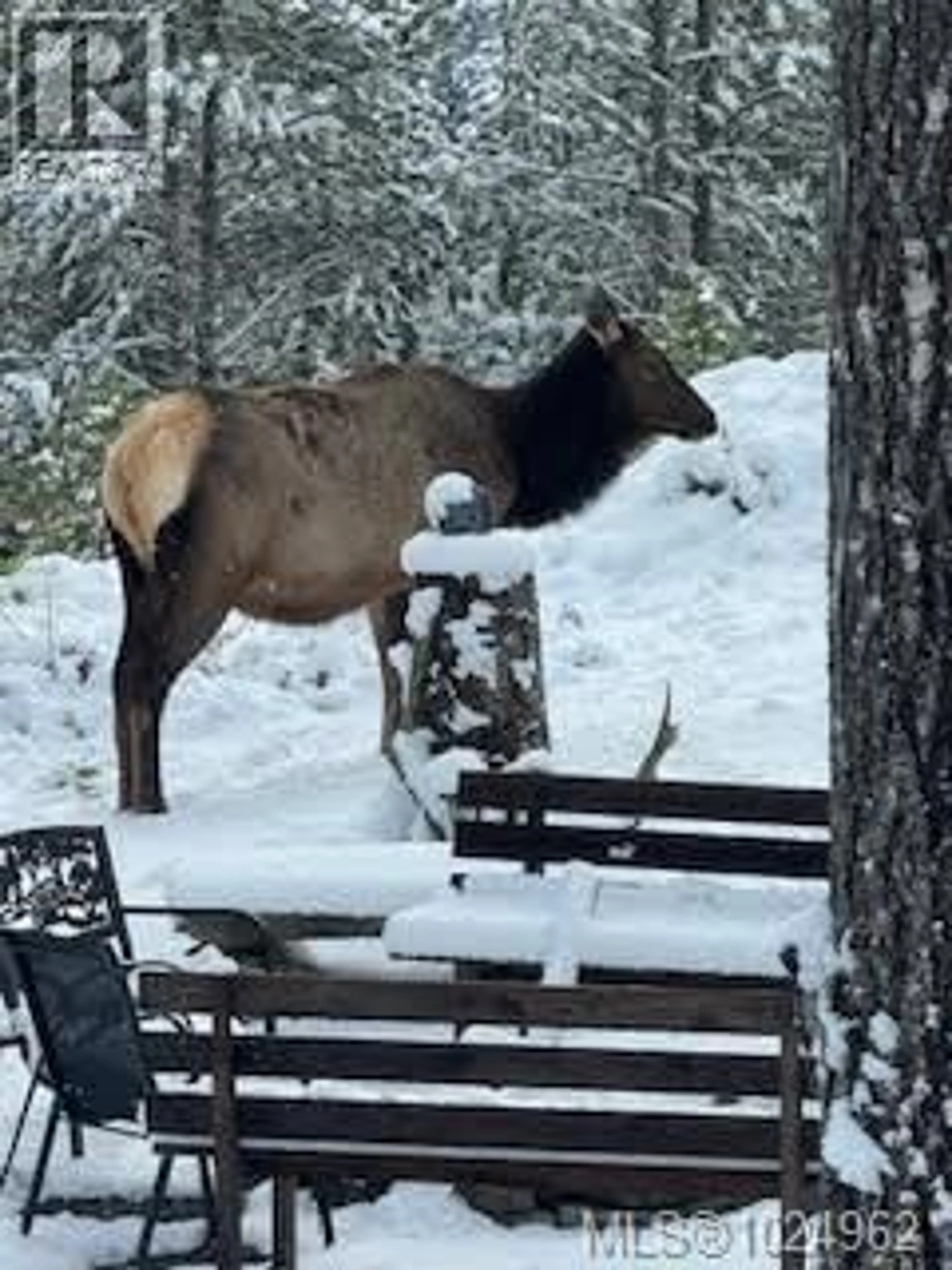 Patio, mountain view for 517 BURMAN COURT, Gold River British Columbia V0P1G0