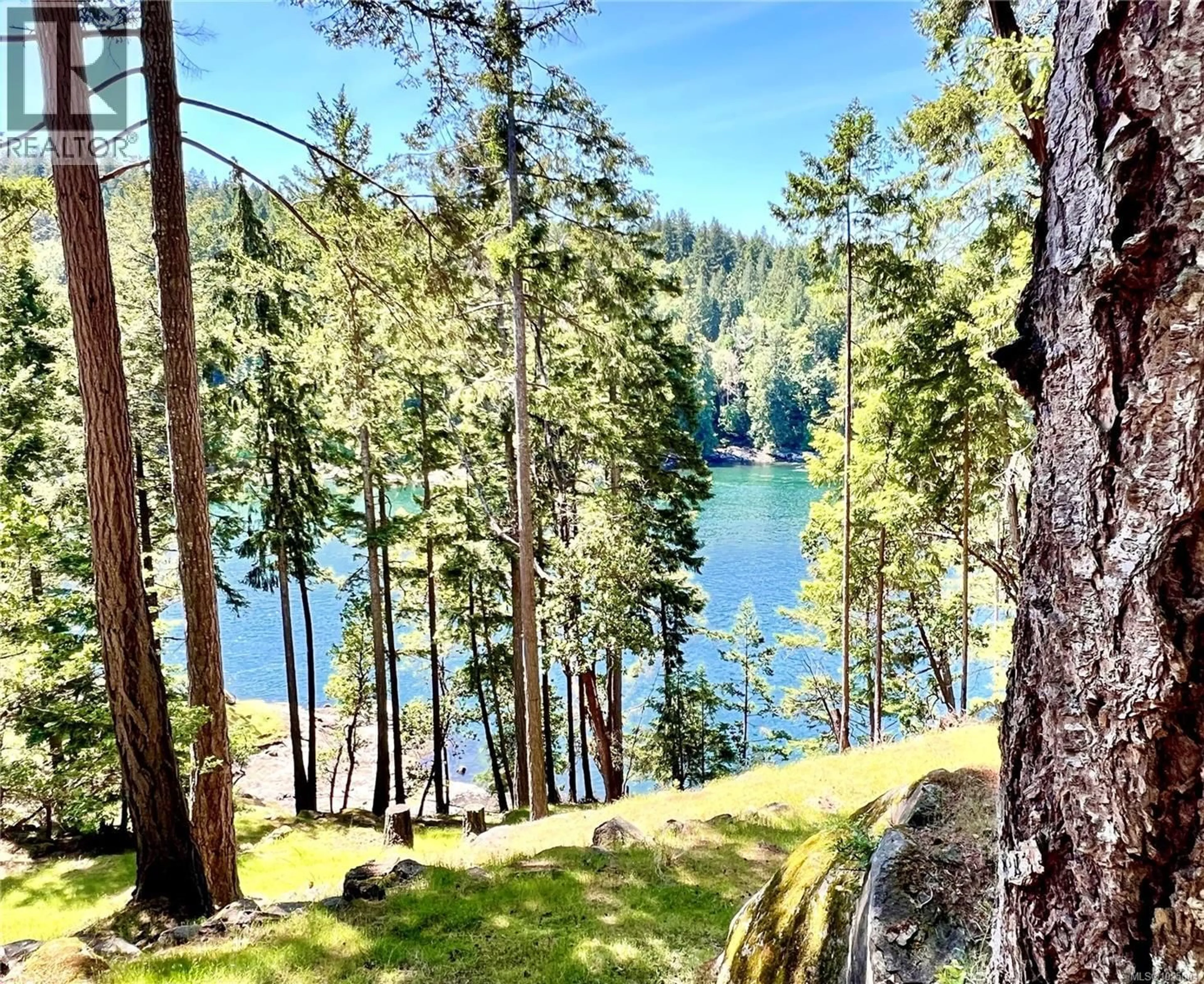 A pic from outside/outdoor area/front of a property/back of a property/a pic from drone, forest/trees view for 231 HALIBUT HILL ROAD, Mudge Island British Columbia V0R1X6