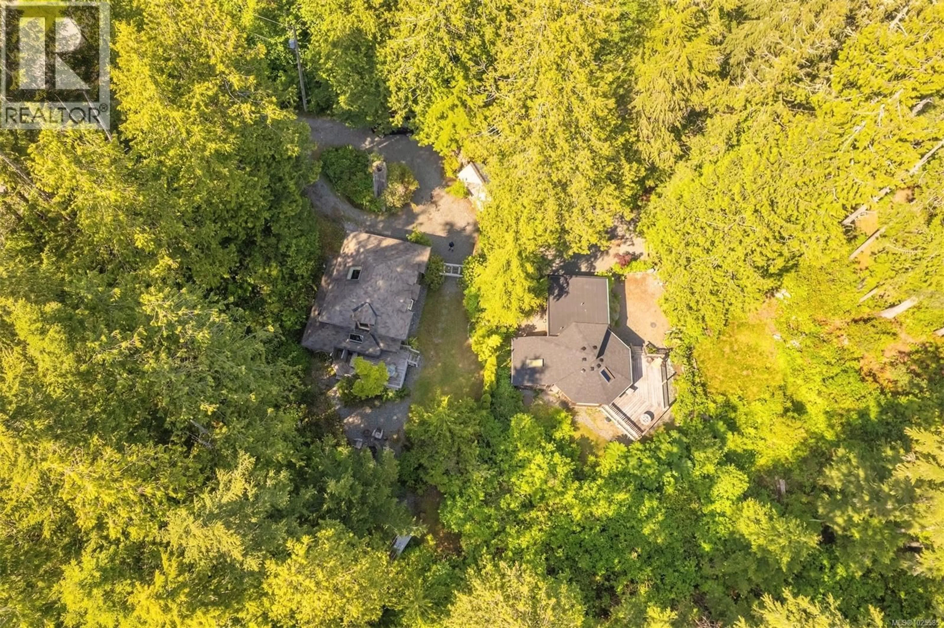 A pic from outside/outdoor area/front of a property/back of a property/a pic from drone, forest/trees view for 1076 PACIFIC RIM HIGHWAY, Tofino British Columbia V0R2Z0