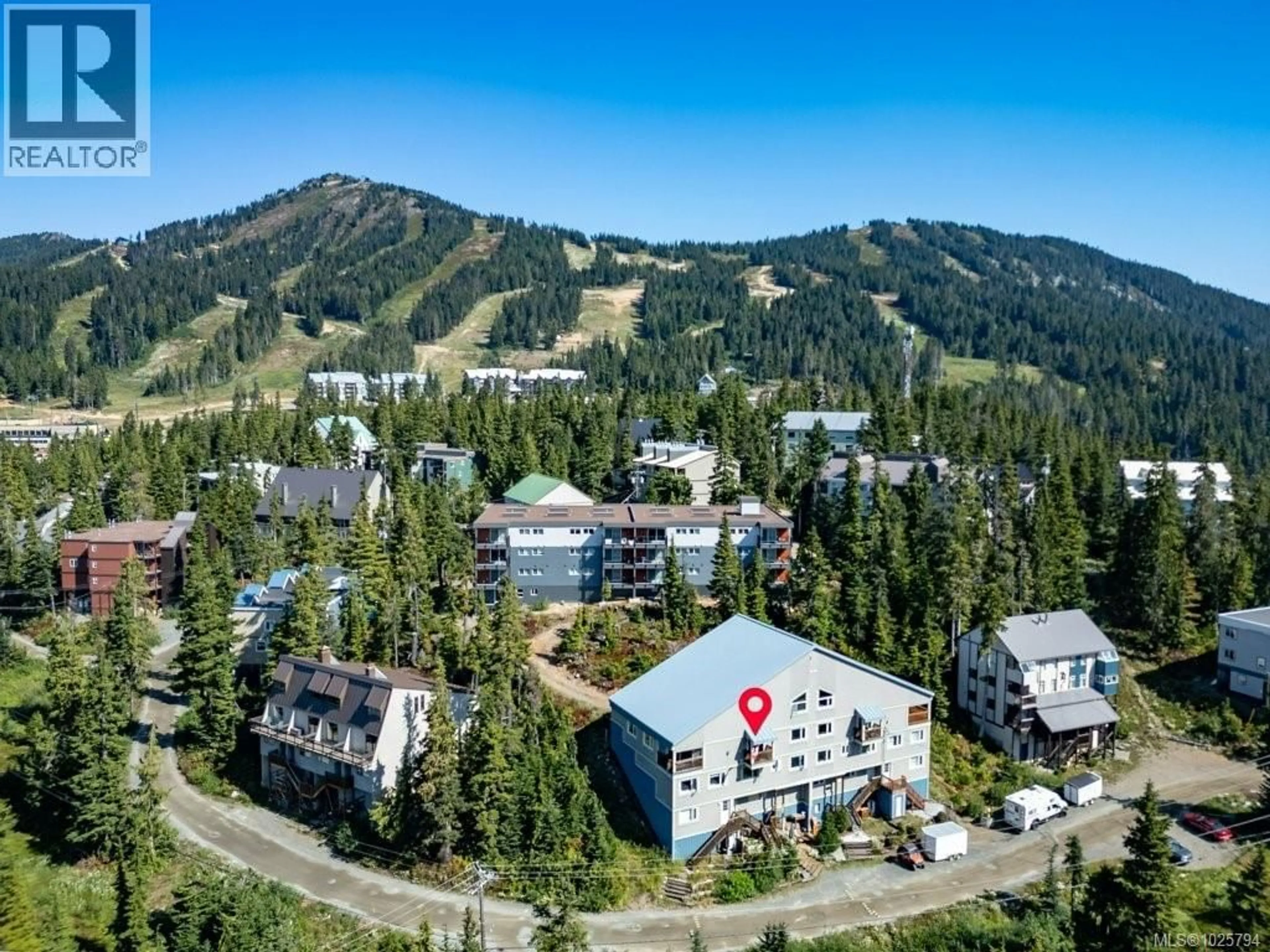 A pic from outside/outdoor area/front of a property/back of a property/a pic from drone, mountain view for D - 828 WASHINGTON WAY, Courtenay British Columbia V9J1L0