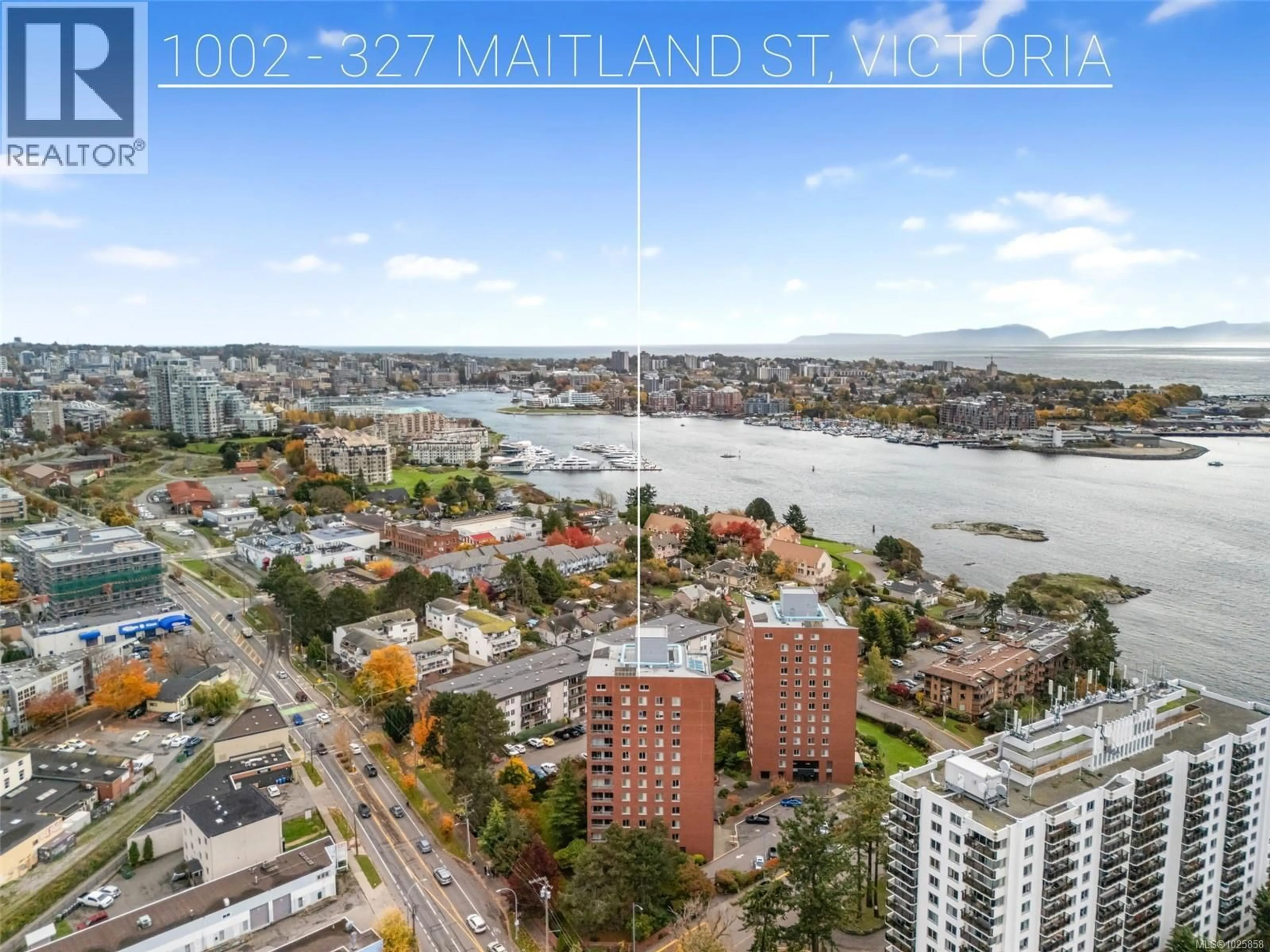 A pic from outside/outdoor area/front of a property/back of a property/a pic from drone, water/lake/river/ocean view for 1002 - 327 MAITLAND STREET, Victoria British Columbia V9A7G7