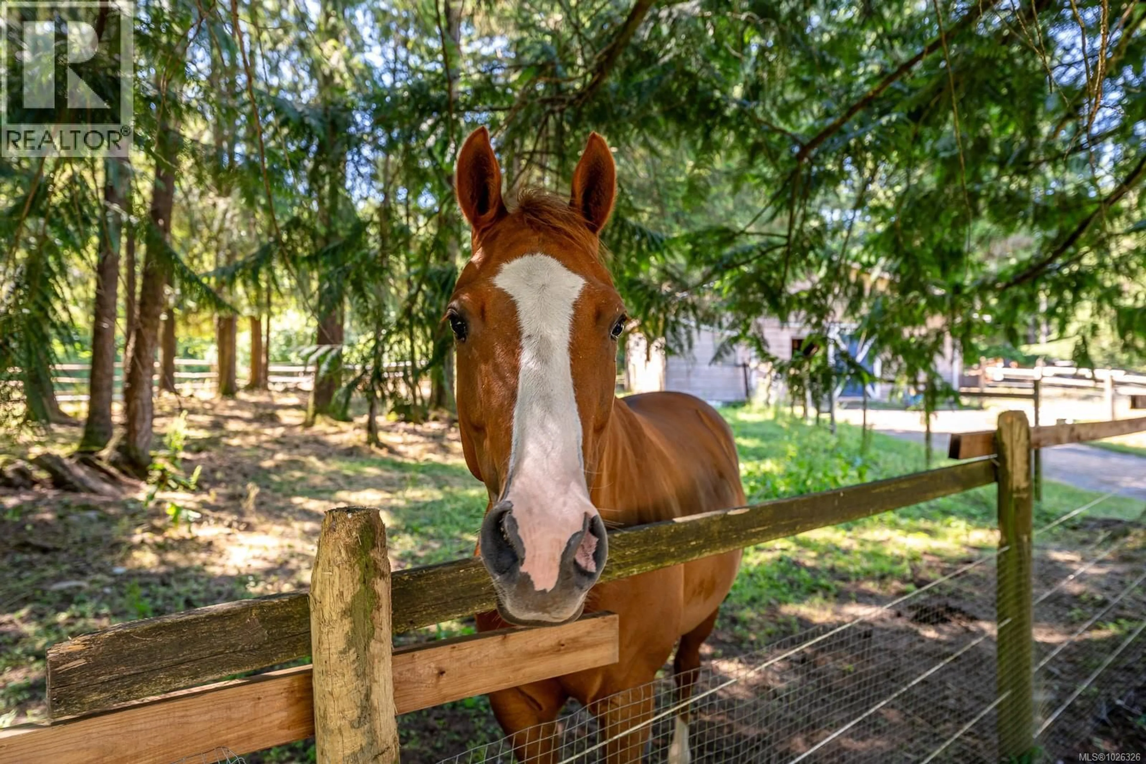 Unknown for 2468 ENDALL ROAD, Black Creek British Columbia V0R1C0