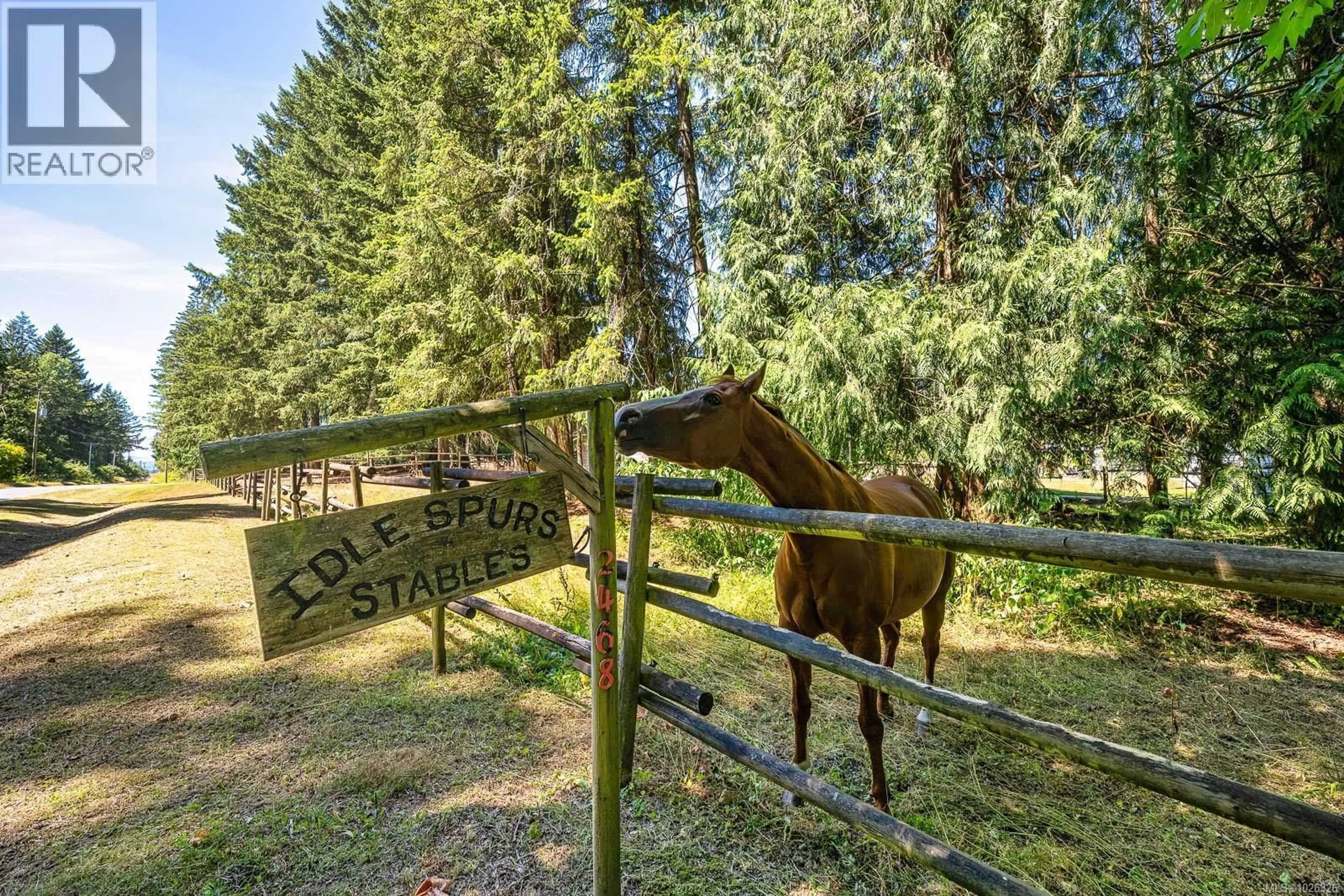Patio, forest/trees view for 2468 ENDALL ROAD, Black Creek British Columbia V0R1C0