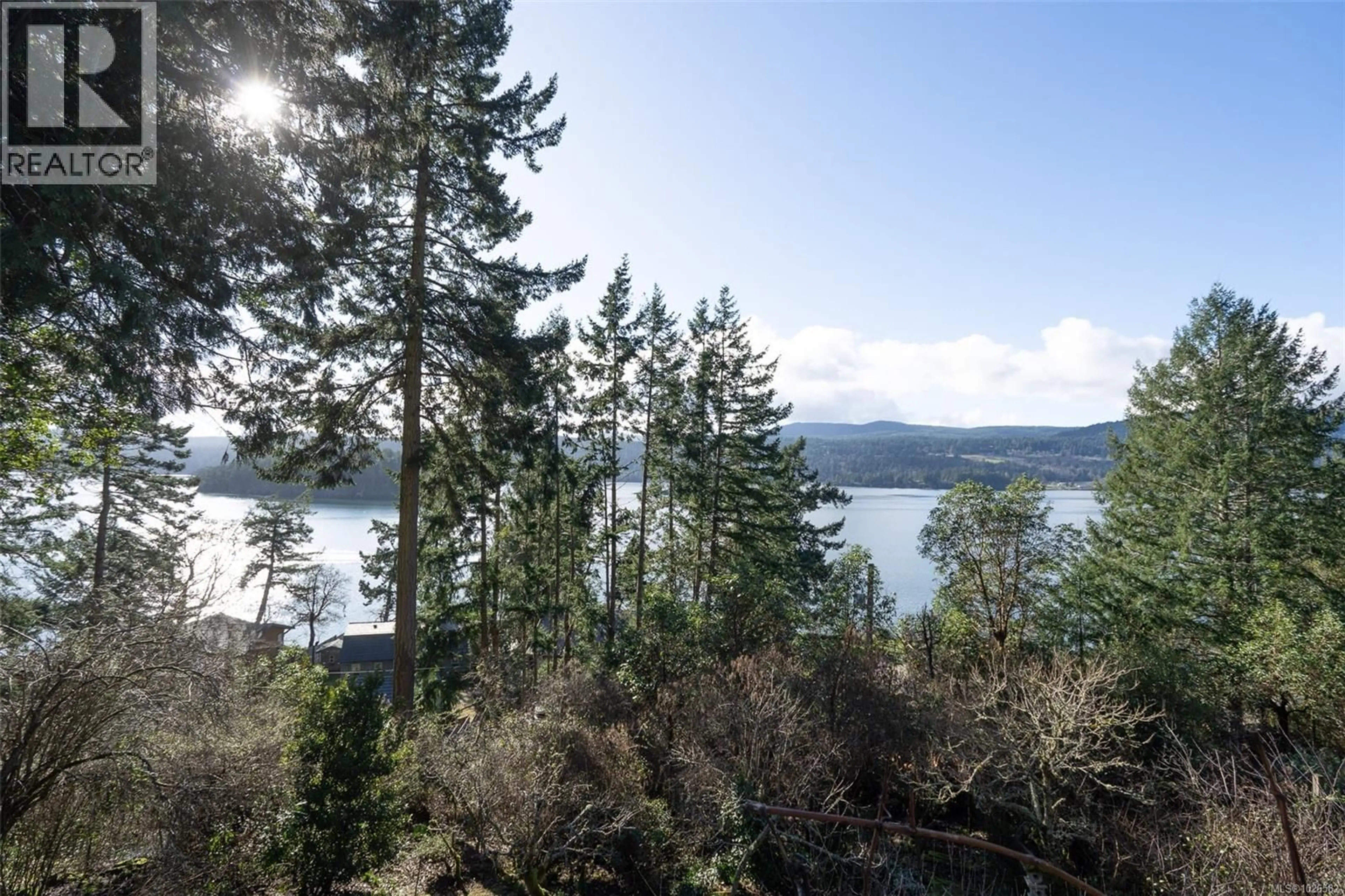 A pic from outside/outdoor area/front of a property/back of a property/a pic from drone, water/lake/river/ocean view for 354 OLD SCOTT ROAD, Salt Spring British Columbia V8K2L9