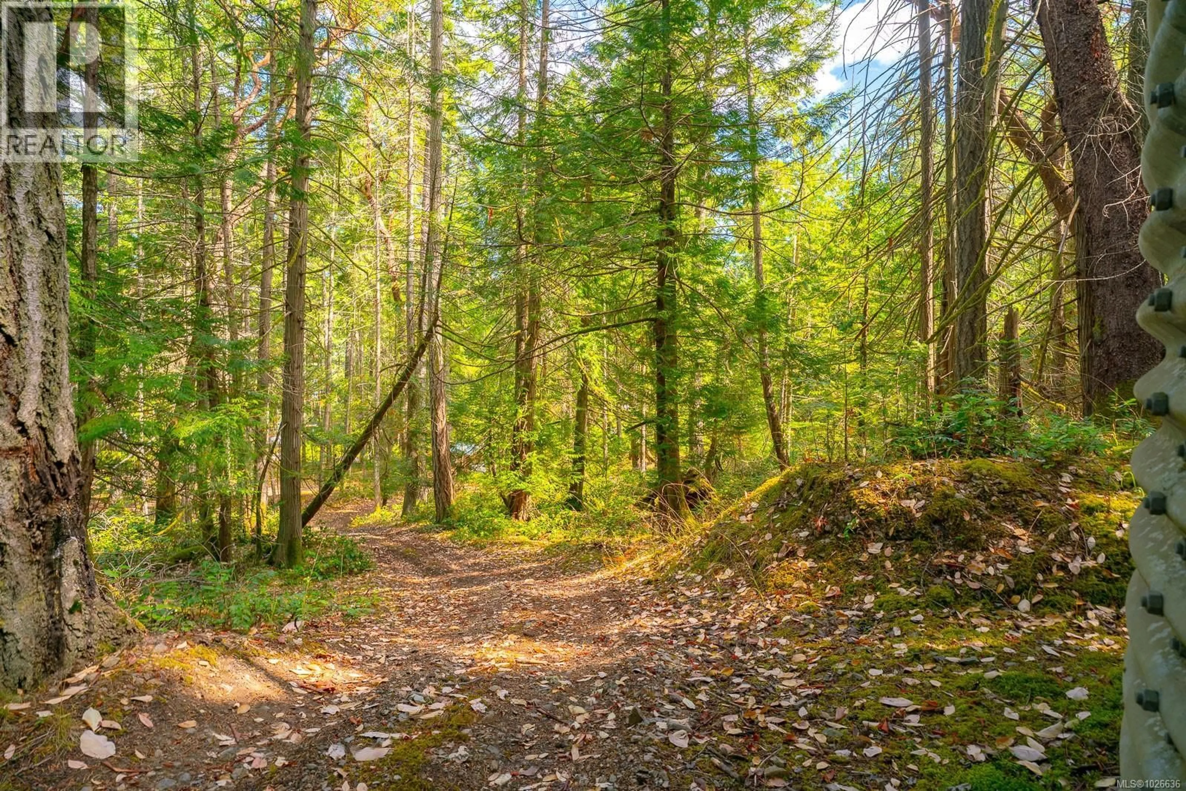 Blurry image for 150 JENKINS ROAD, Salt Spring British Columbia V8K2M9