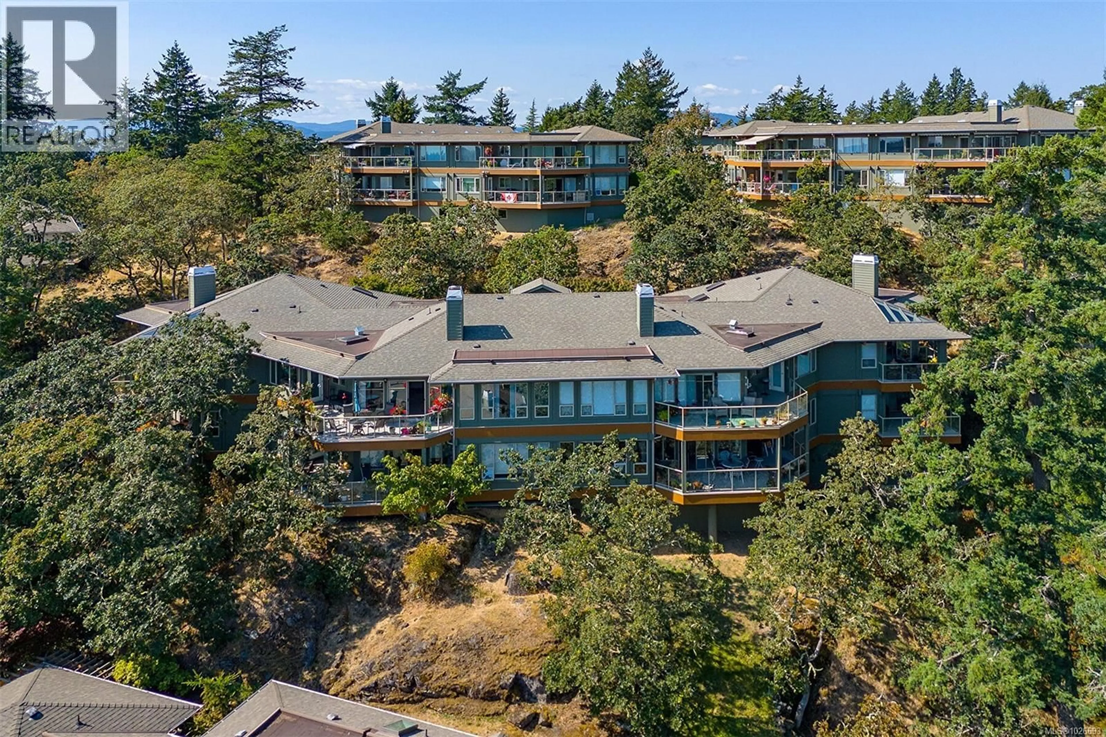A pic from outside/outdoor area/front of a property/back of a property/a pic from drone, water/lake/river/ocean view for 4 - 910 MALTWOOD TERRACE, Saanich British Columbia V8X5G8