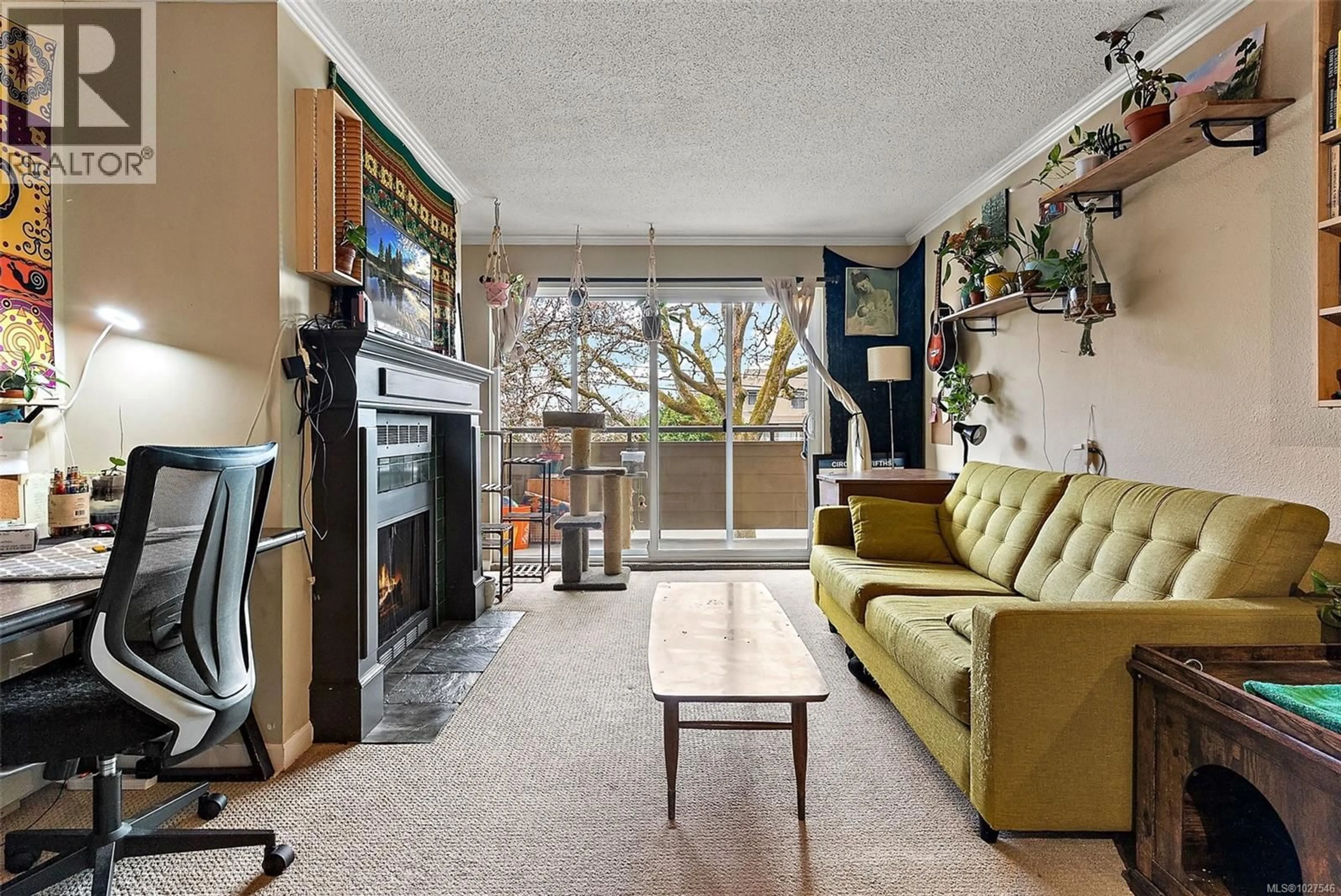 Living room with furniture, unknown for 209 - 3215 ALDER STREET, Saanich British Columbia V8X1P3