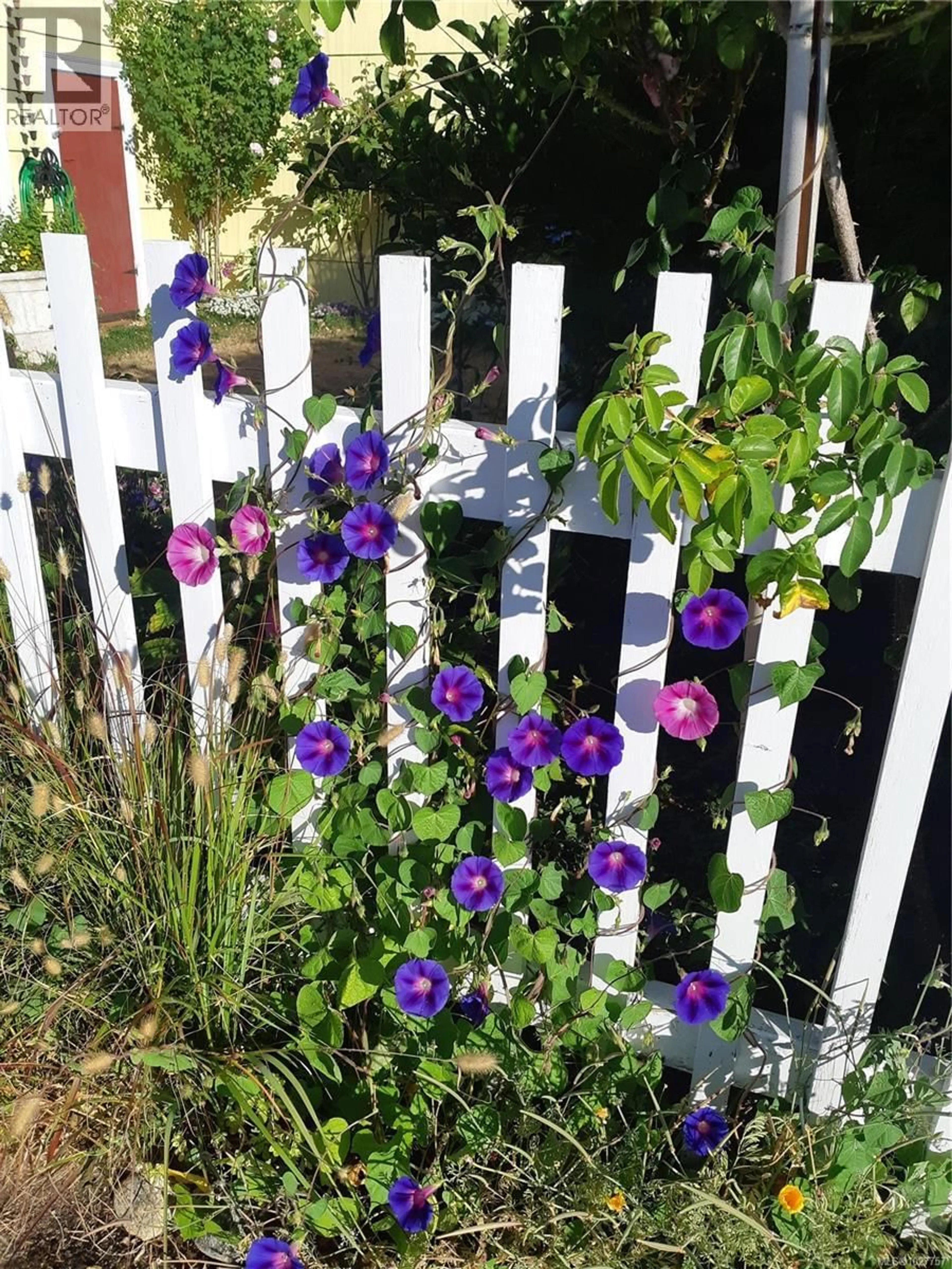 Patio, street for 418 HIGH STREET, Ladysmith British Columbia V9G1B7