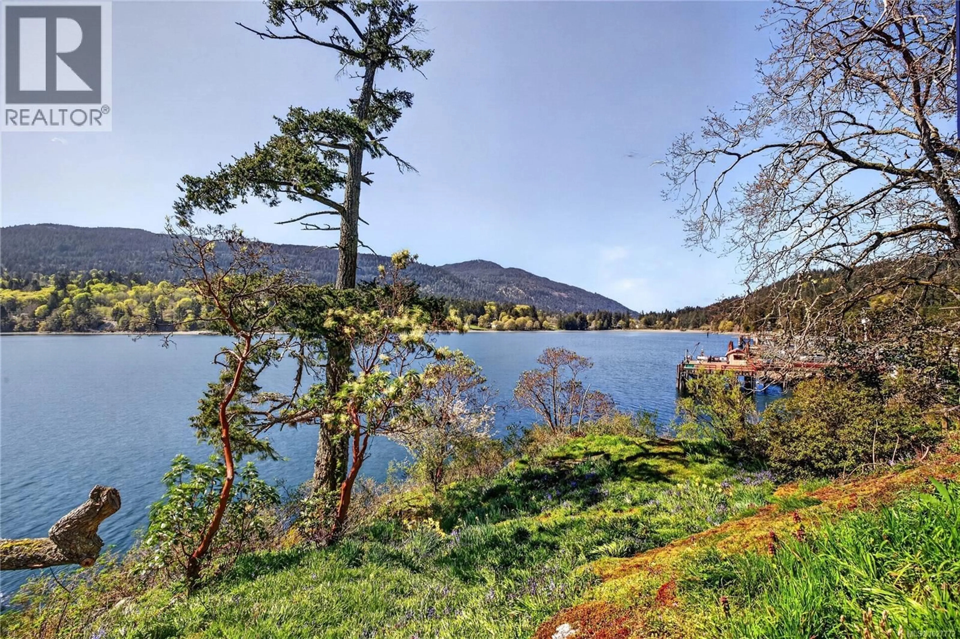A pic from outside/outdoor area/front of a property/back of a property/a pic from drone, water/lake/river/ocean view for 117 MORNINGSIDE ROAD, Salt Spring British Columbia V8K1X1