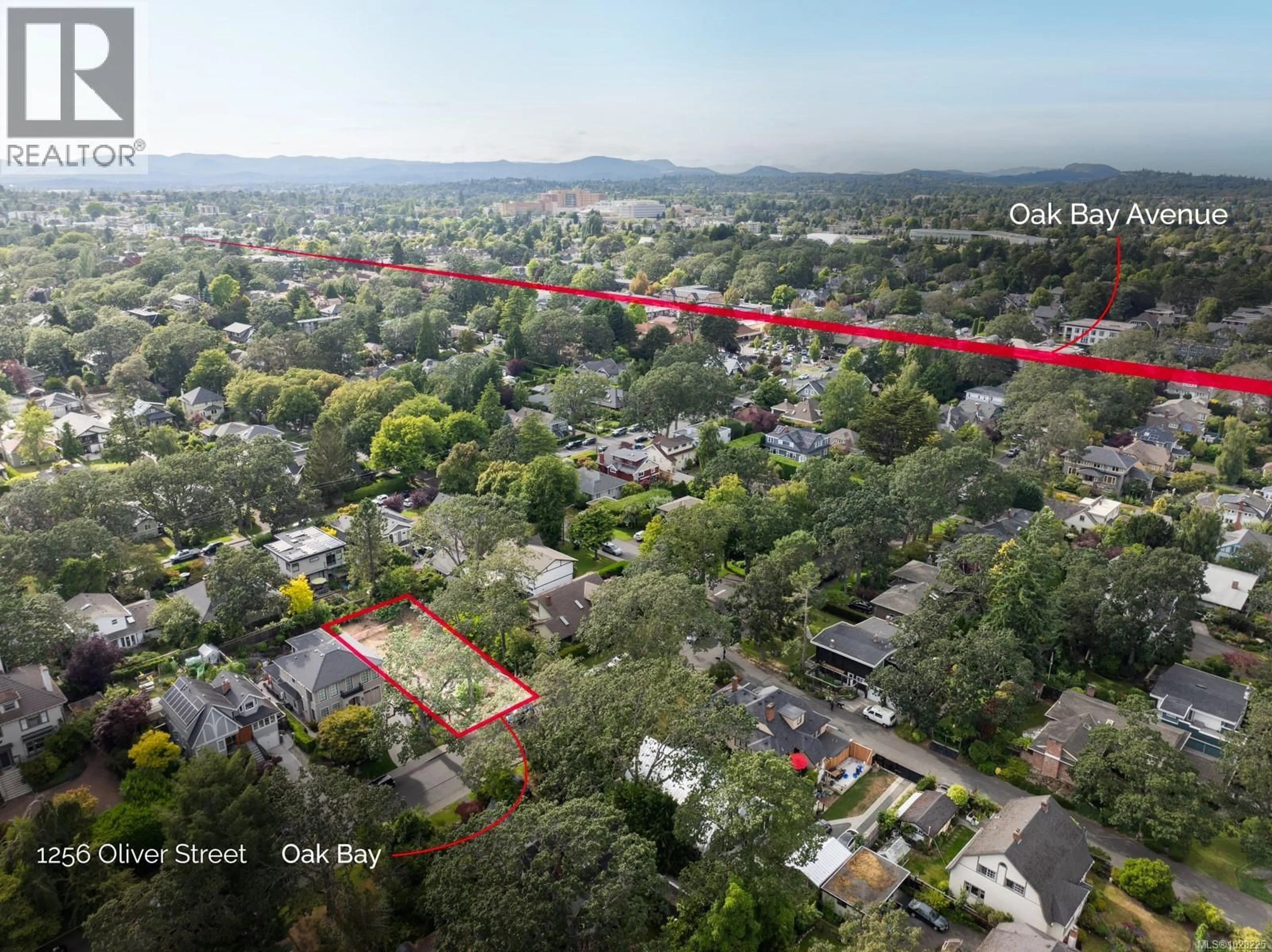 A pic from outside/outdoor area/front of a property/back of a property/a pic from drone, street for 1256 OLIVER STREET, Oak Bay British Columbia V8S4W9