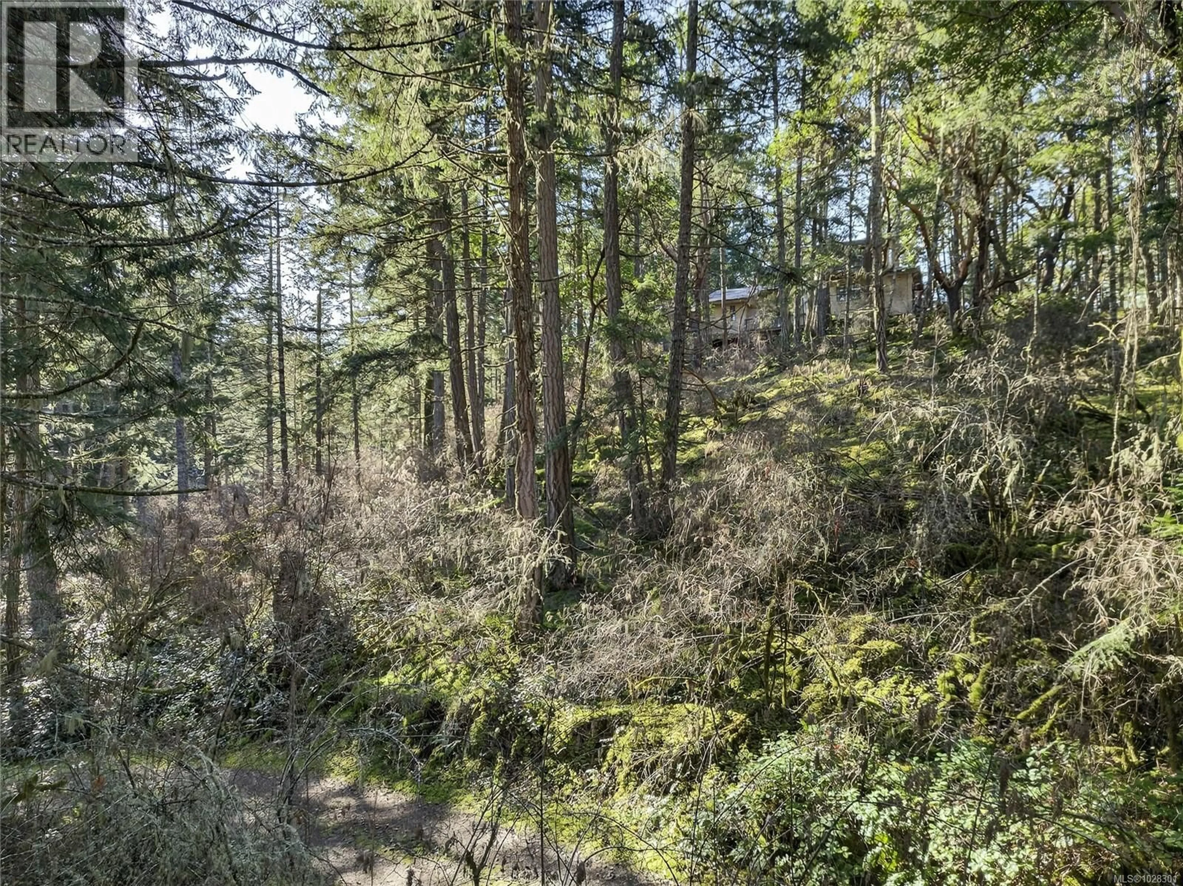 A pic from outside/outdoor area/front of a property/back of a property/a pic from drone, forest/trees view for 160 SKY VALLEY ROAD, Salt Spring British Columbia V8K2C7