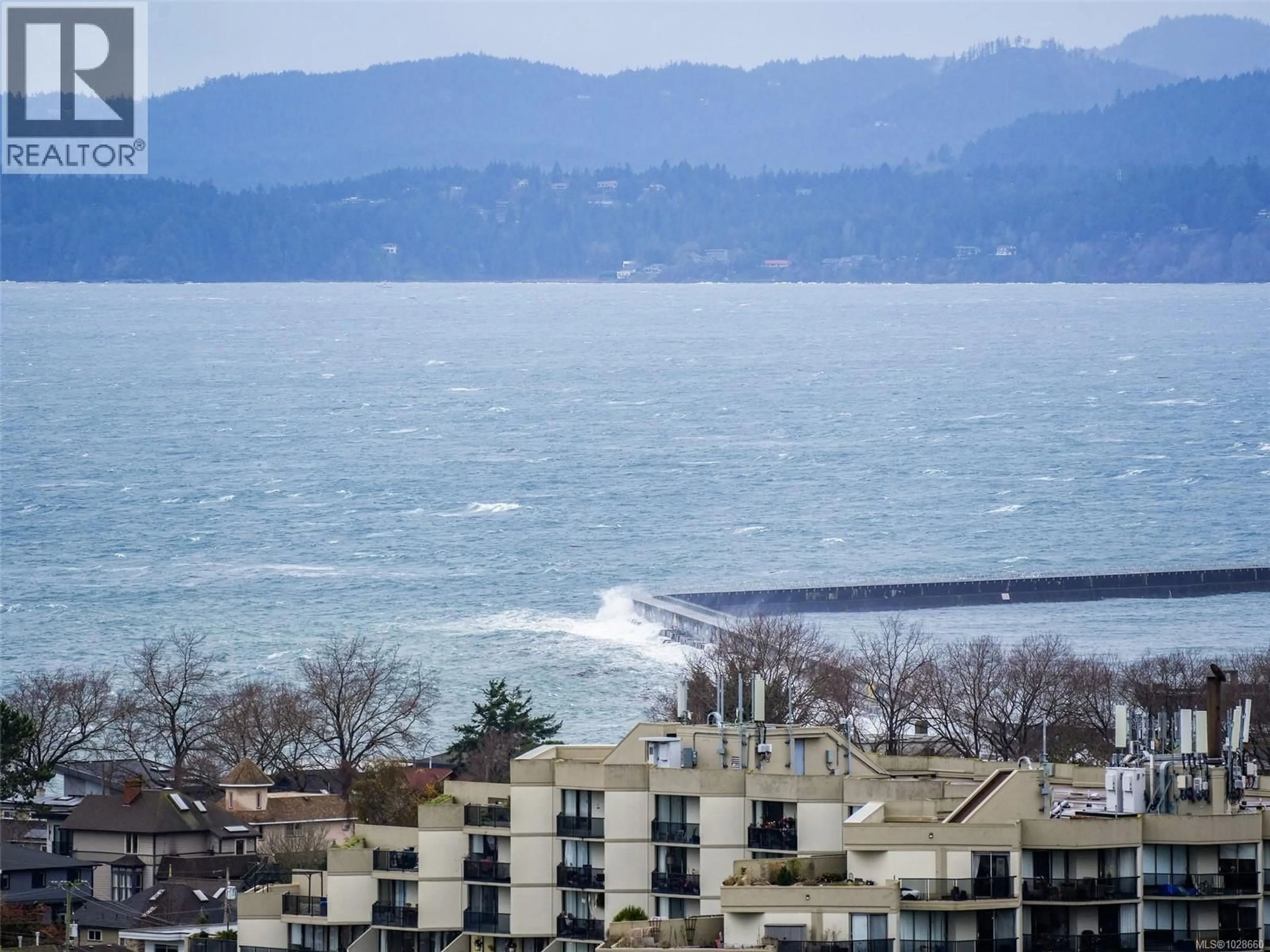 Blurry image for 2006 - 647 MICHIGAN STREET, Victoria British Columbia V8V1S9