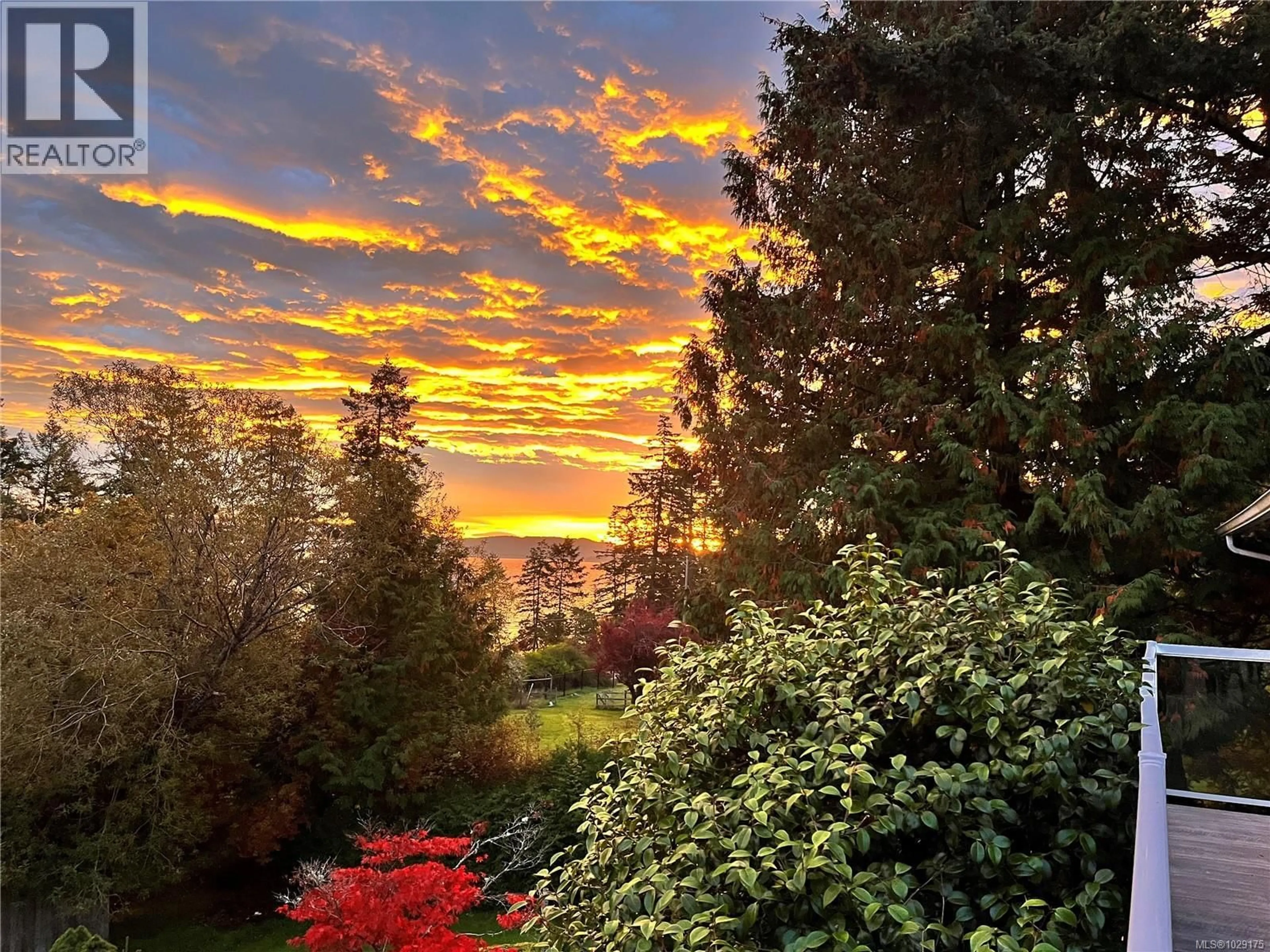 A pic from outside/outdoor area/front of a property/back of a property/a pic from drone, forest/trees view for 321 MALIVIEW DRIVE, Salt Spring British Columbia V8K2P7