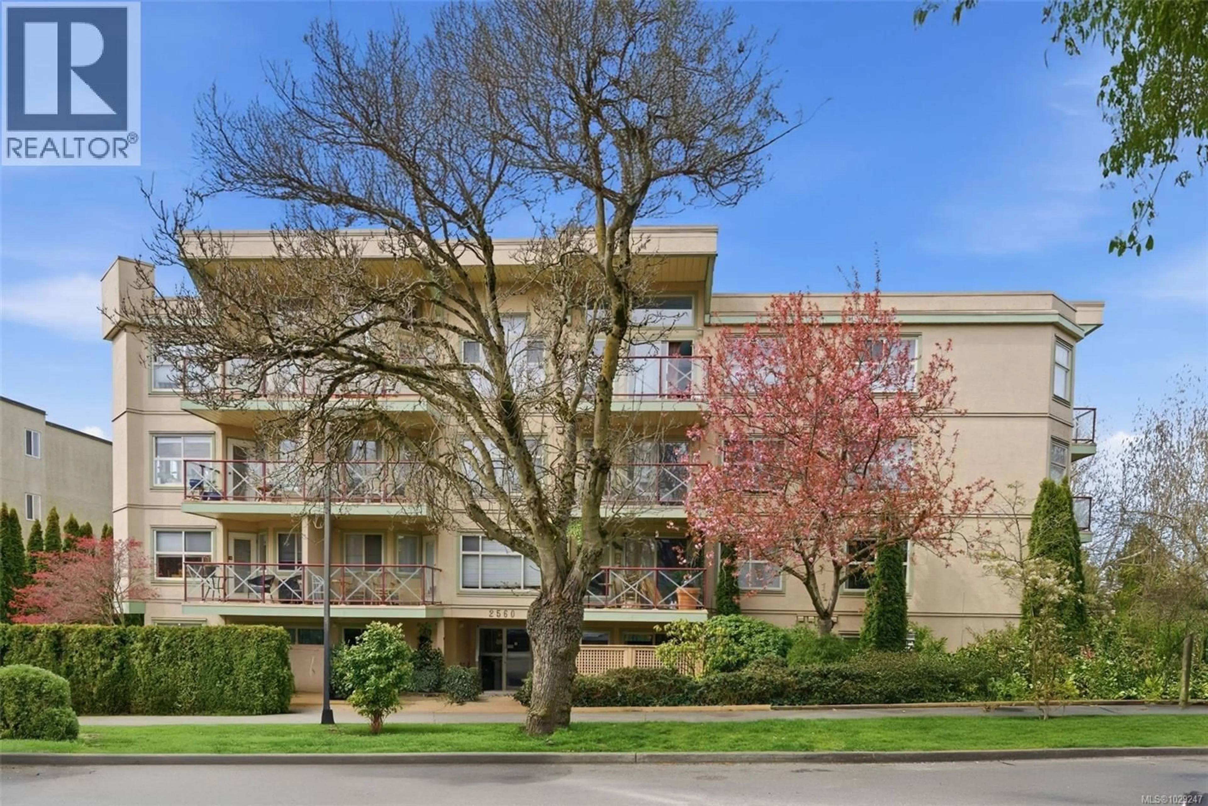 Patio, building for 408 - 2560 WARK STREET, Victoria British Columbia V8T4G8