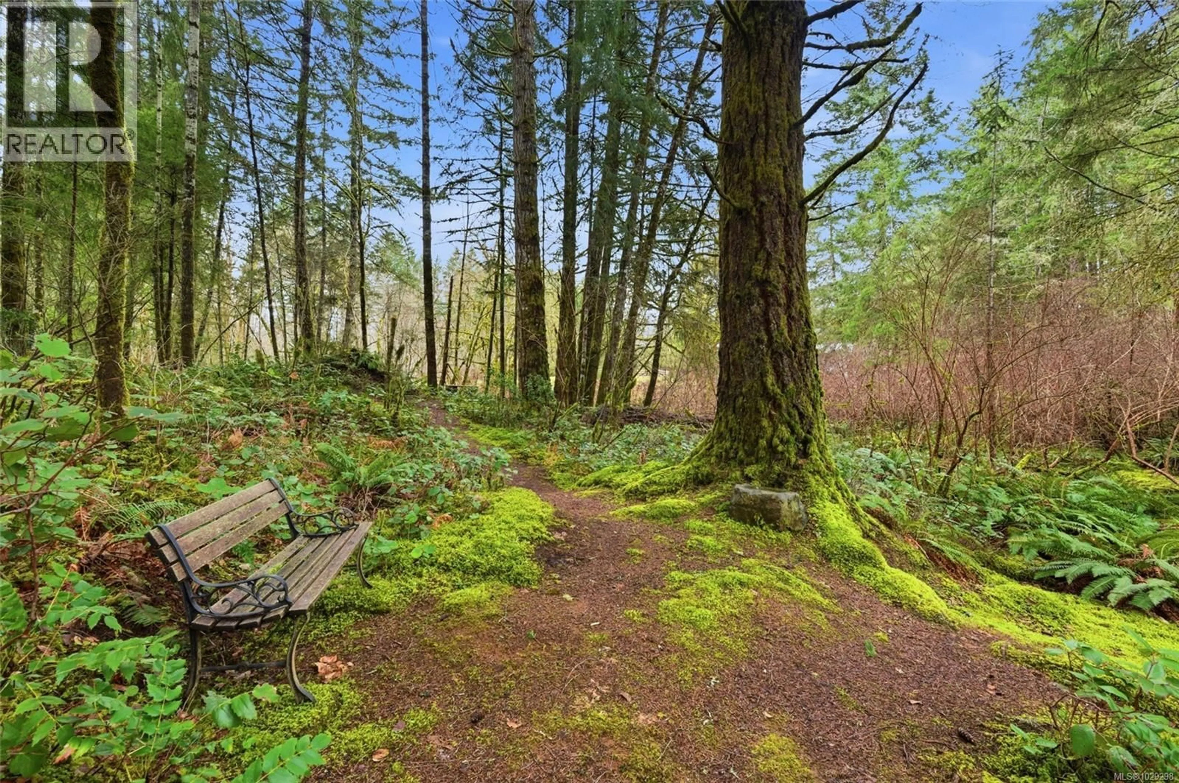 Patio, forest/trees view for 6375 DONAHUE ROAD, Port Alberni British Columbia V9Y8X2