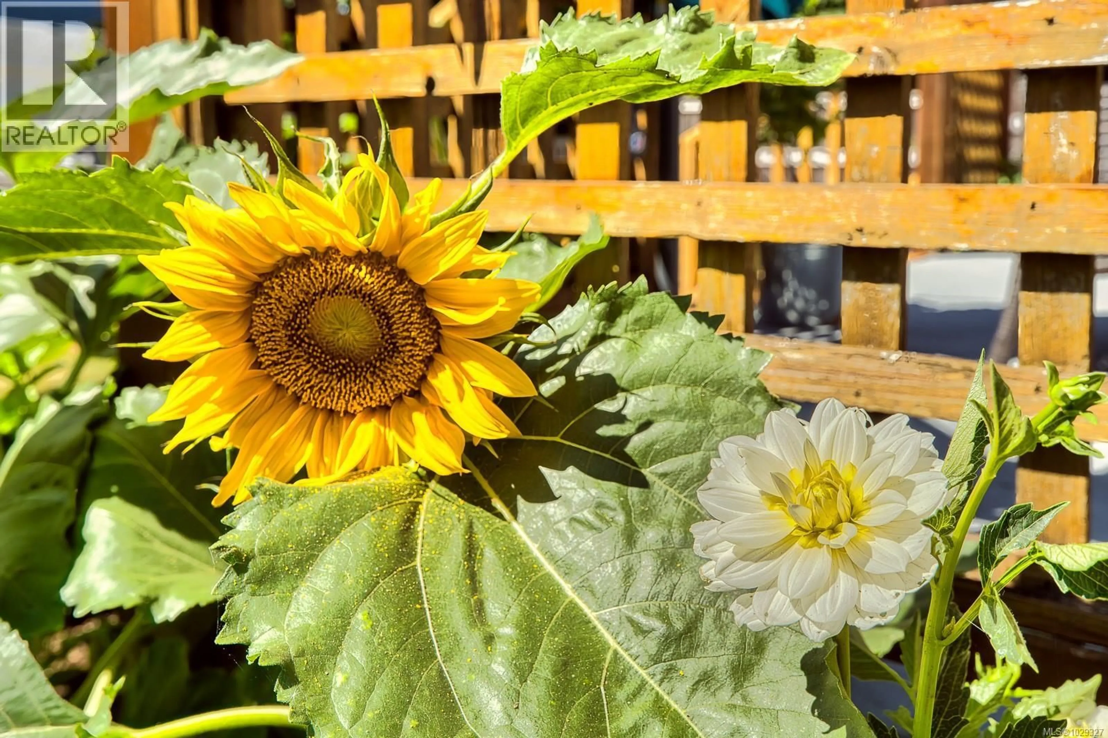 Patio, street for 2517 ROSSTOWN ROAD, Nanaimo British Columbia V9T3R9