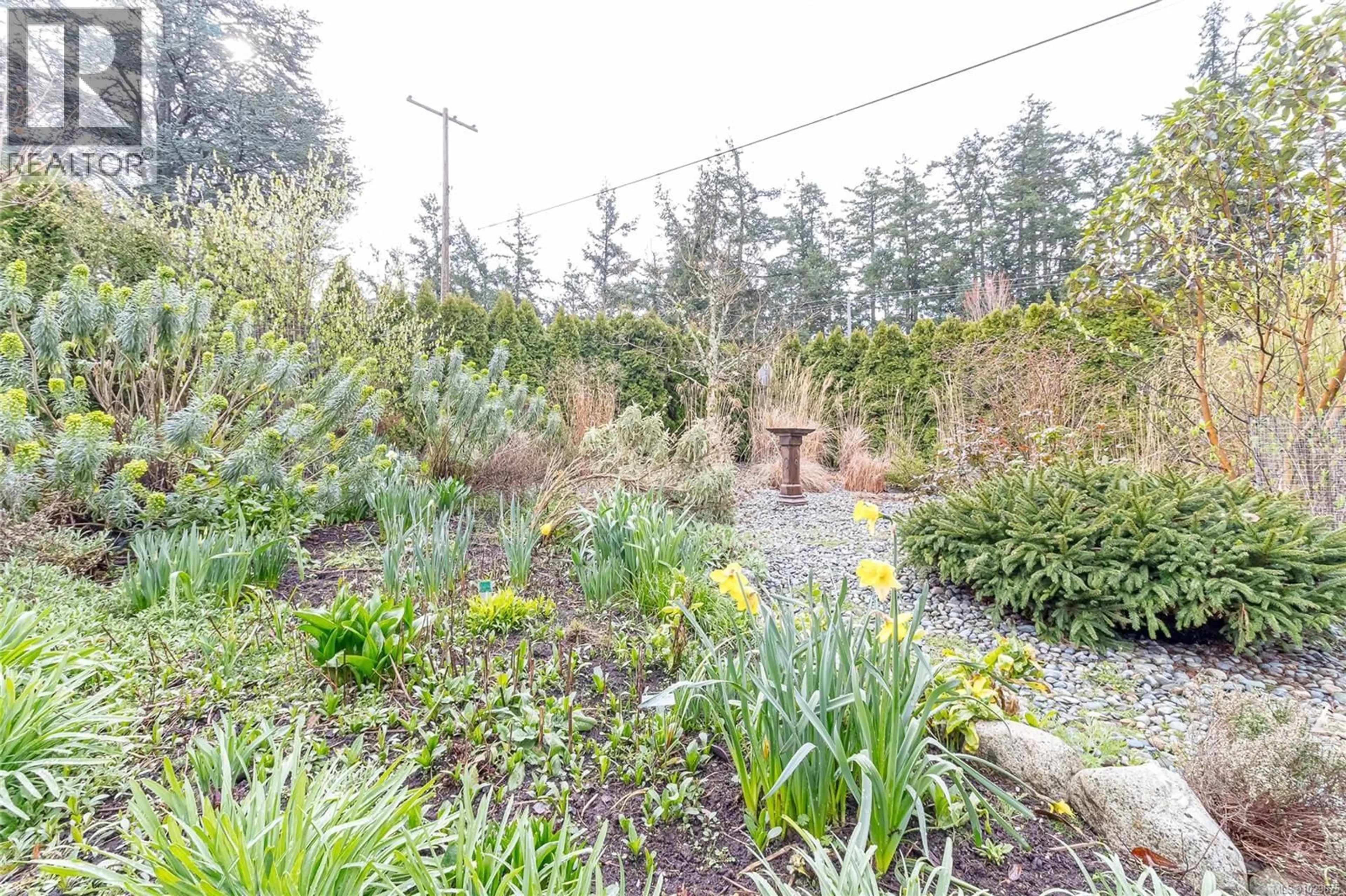 Patio, unknown for 1052 CRAIGFLOWER ROAD, Esquimalt British Columbia V9A2Y1