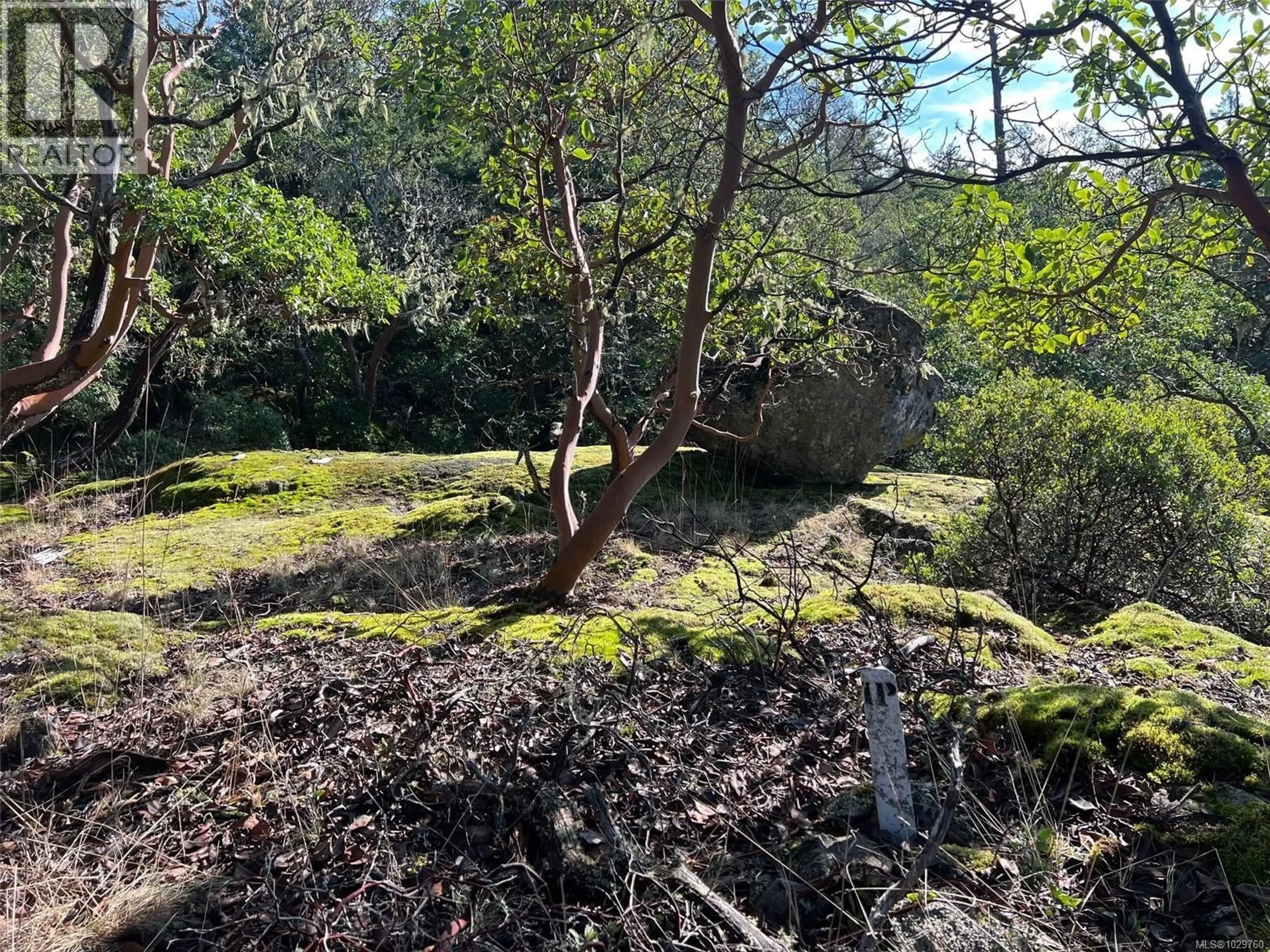 A pic from outside/outdoor area/front of a property/back of a property/a pic from drone, forest/trees view for 4440 SPELLMAN PLACE, Metchosin British Columbia V9C4C5