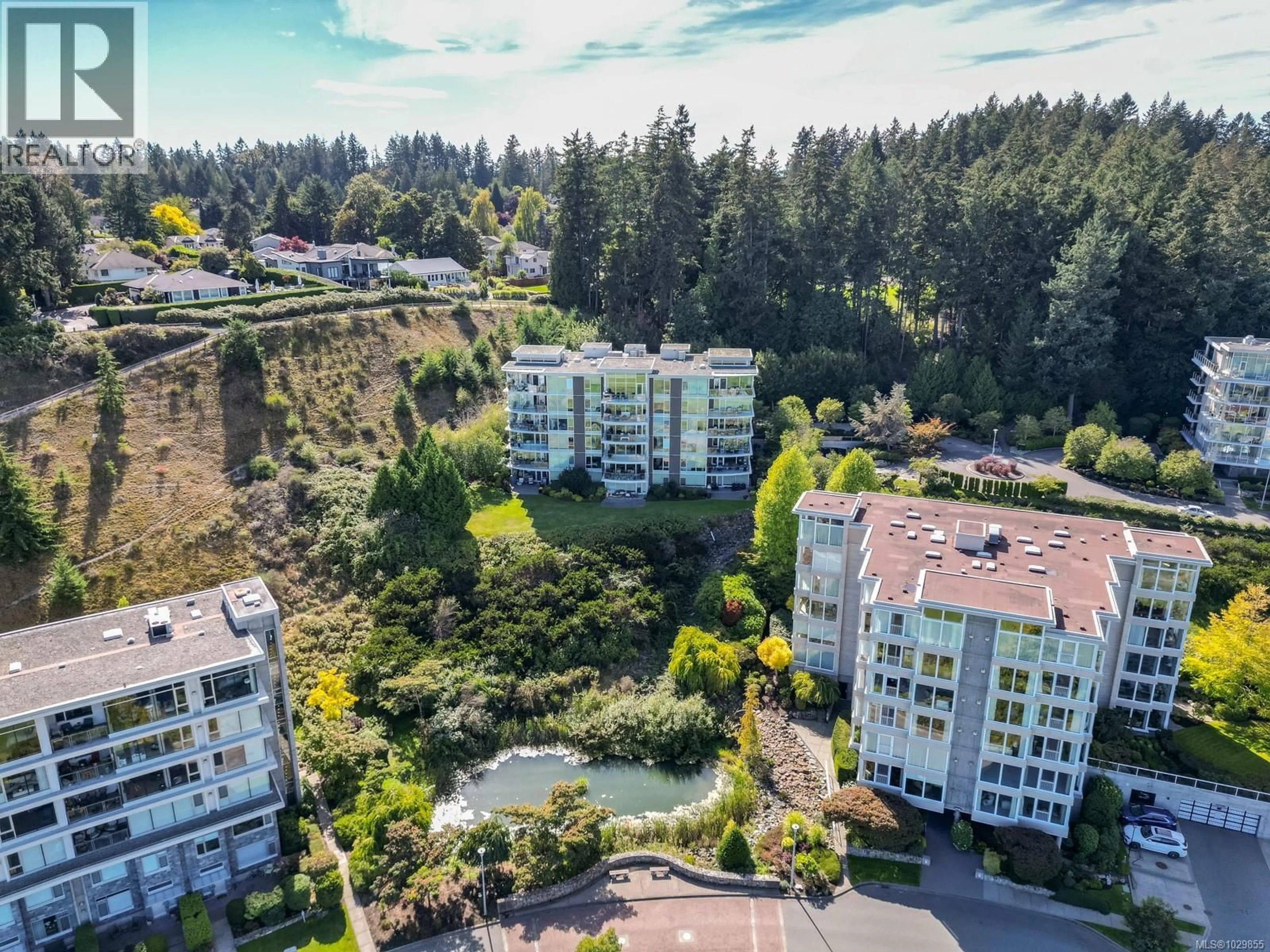 A pic from outside/outdoor area/front of a property/back of a property/a pic from drone, mountain view for 302 - 738 SAYWARD HILL TERRACE, Saanich British Columbia V8Y3K1