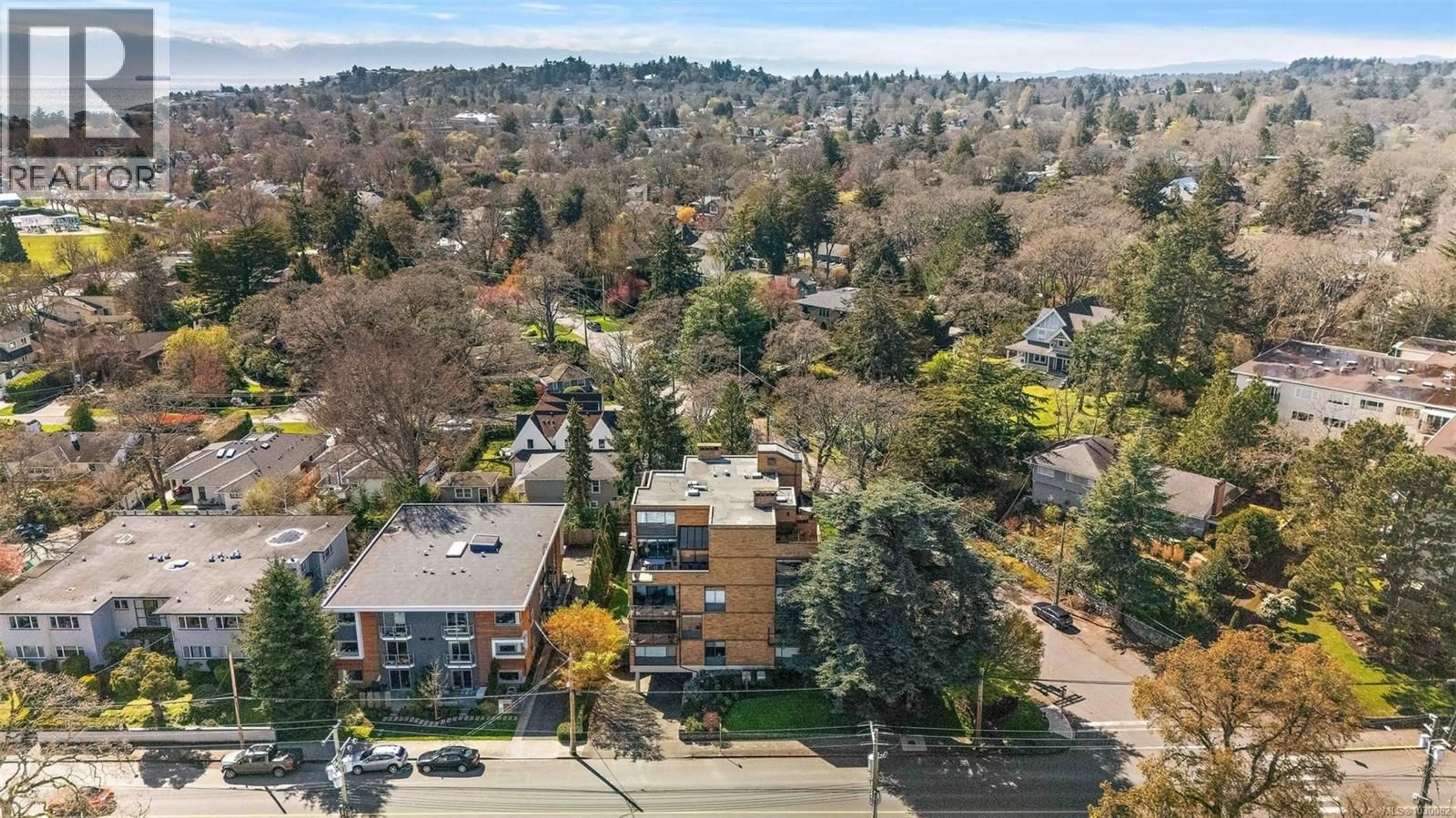 A pic from outside/outdoor area/front of a property/back of a property/a pic from drone, city buildings view from balcony for 201 - 1280 NEWPORT AVENUE, Oak Bay British Columbia V8S5E7