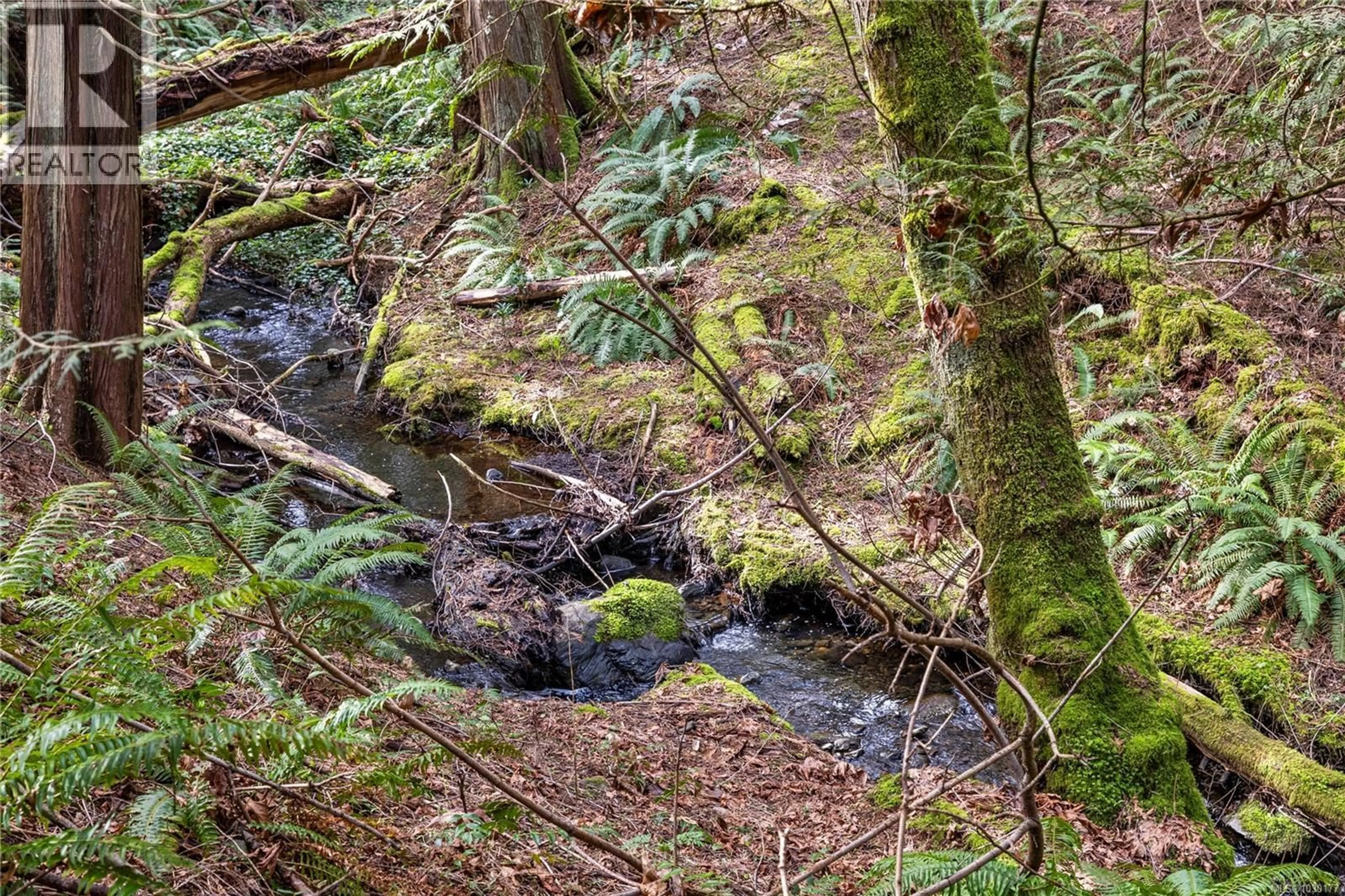 Blurry image for 795 SOUTHLAND WAY, Nanaimo British Columbia V9R6P4