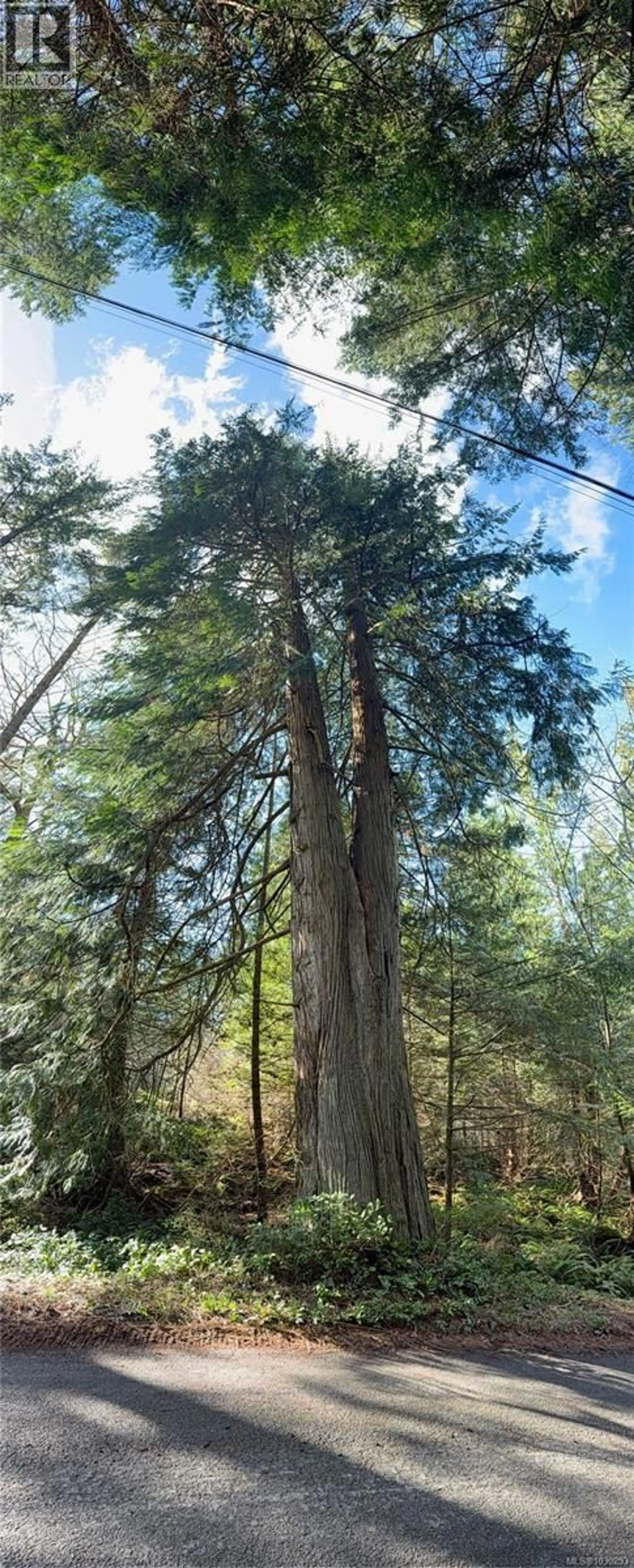 Blurry image for 2359 KENDALL ROAD, Nanaimo British Columbia V9X1W8