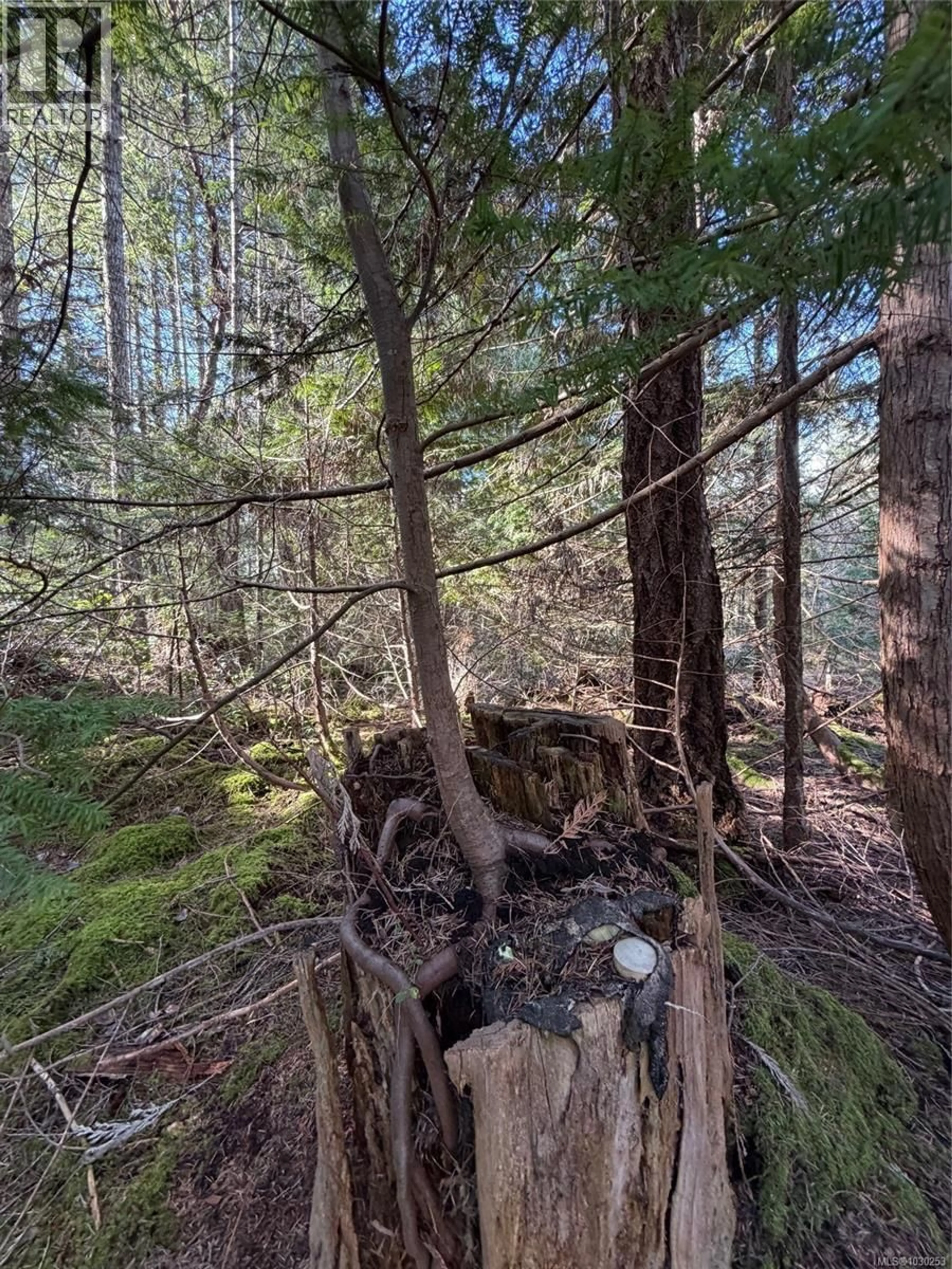 A pic of a room for 2359 KENDALL ROAD, Nanaimo British Columbia V9X1W8