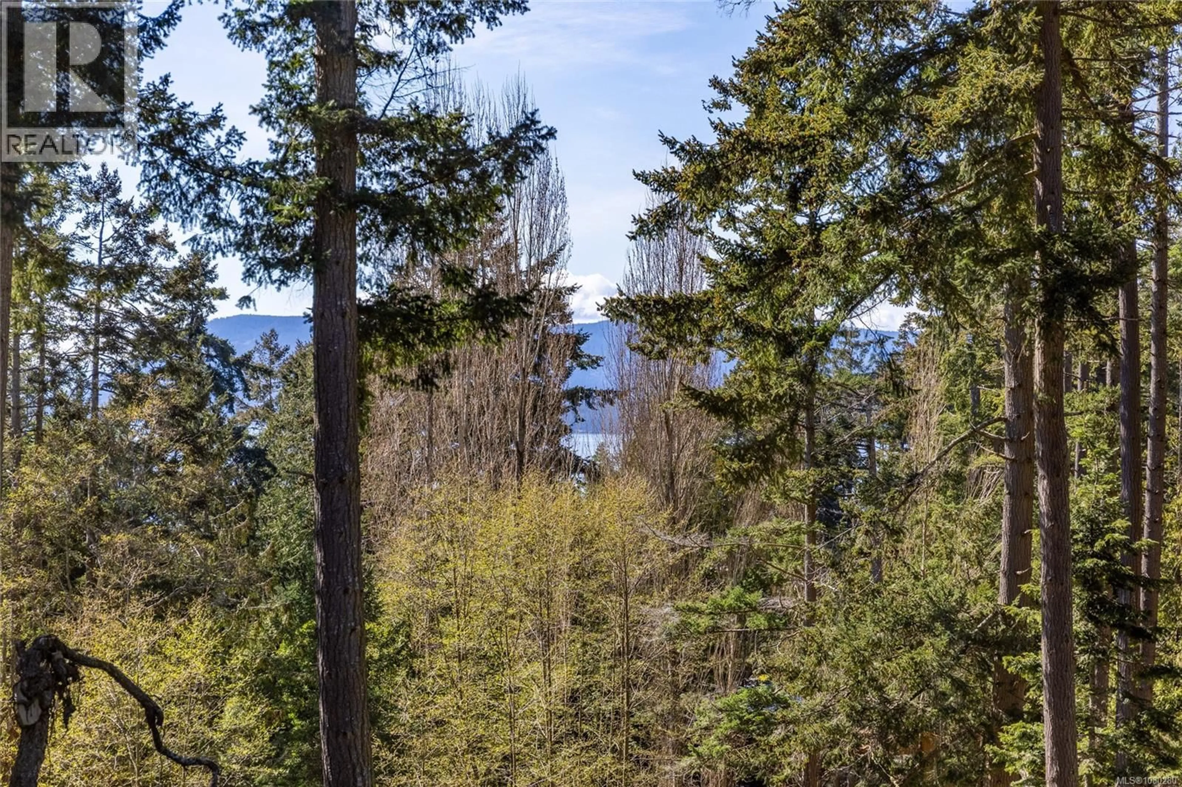A pic from outside/outdoor area/front of a property/back of a property/a pic from drone, forest/trees view for 2635 SHOAL ROAD, Pender Island British Columbia V0N2M2