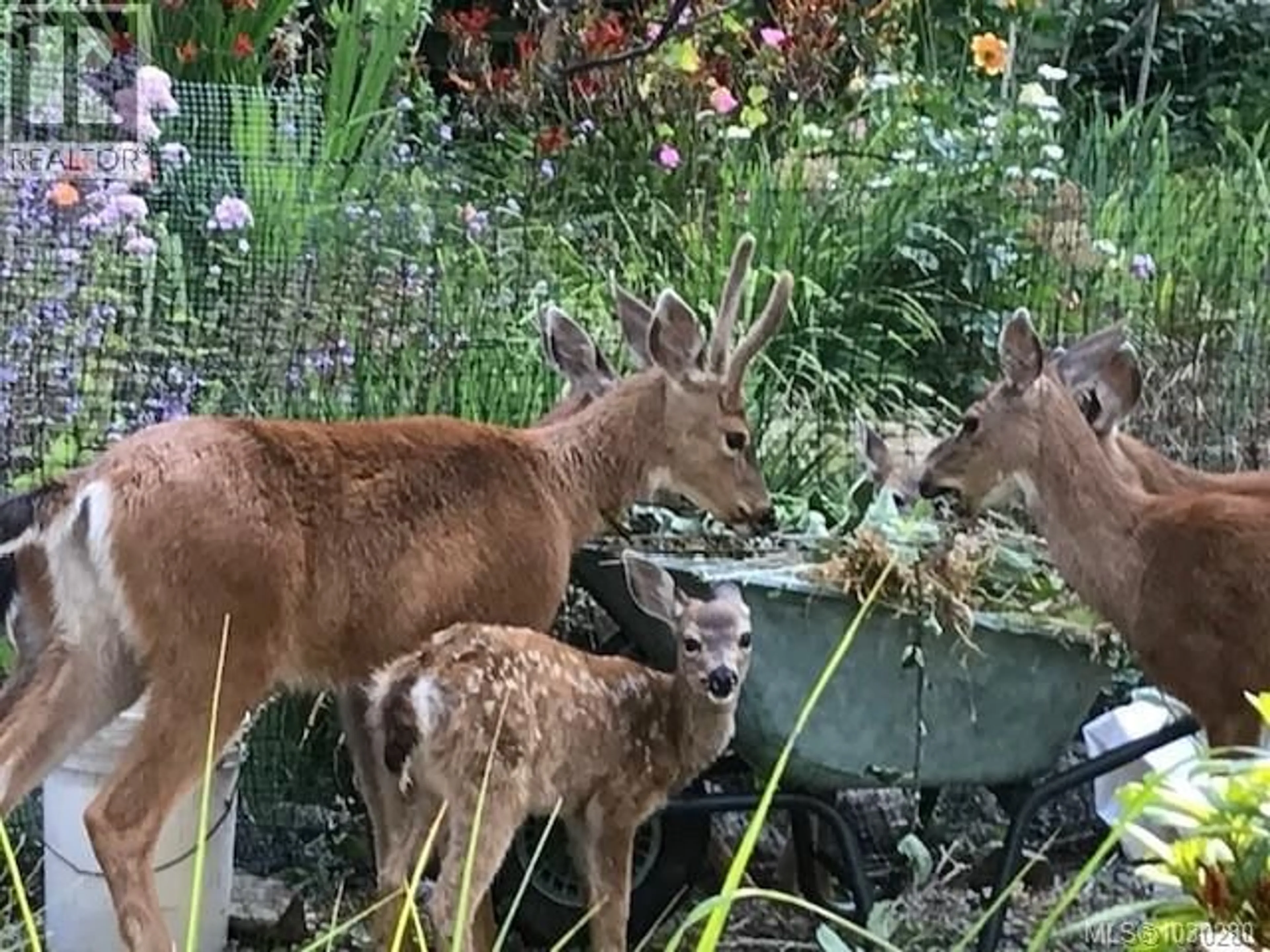 Blurry image for 2635 SHOAL ROAD, Pender Island British Columbia V0N2M2