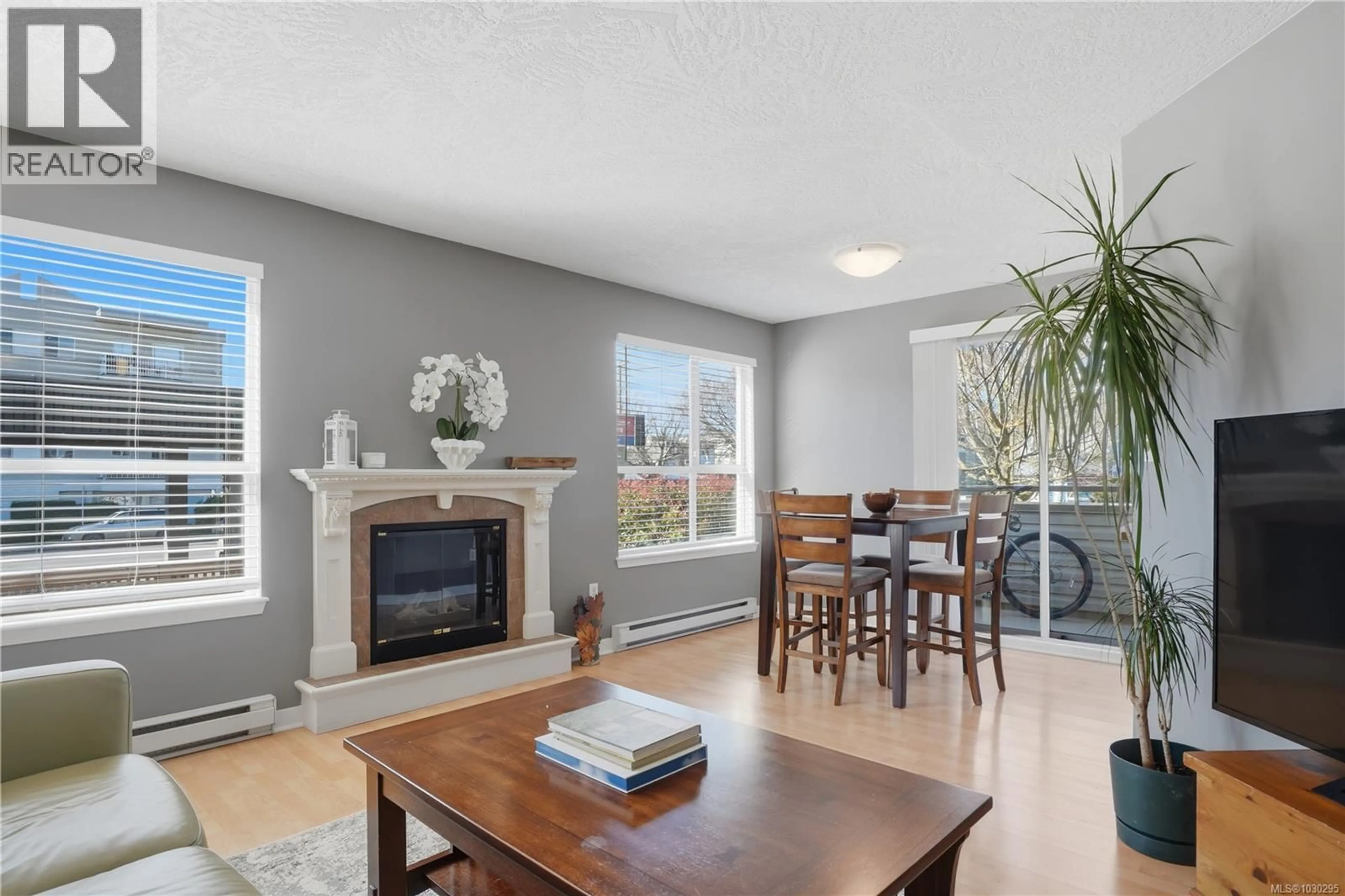 Living room with furniture, unknown for 207 - 1055 HILLSIDE AVENUE, Victoria British Columbia V8T2A4