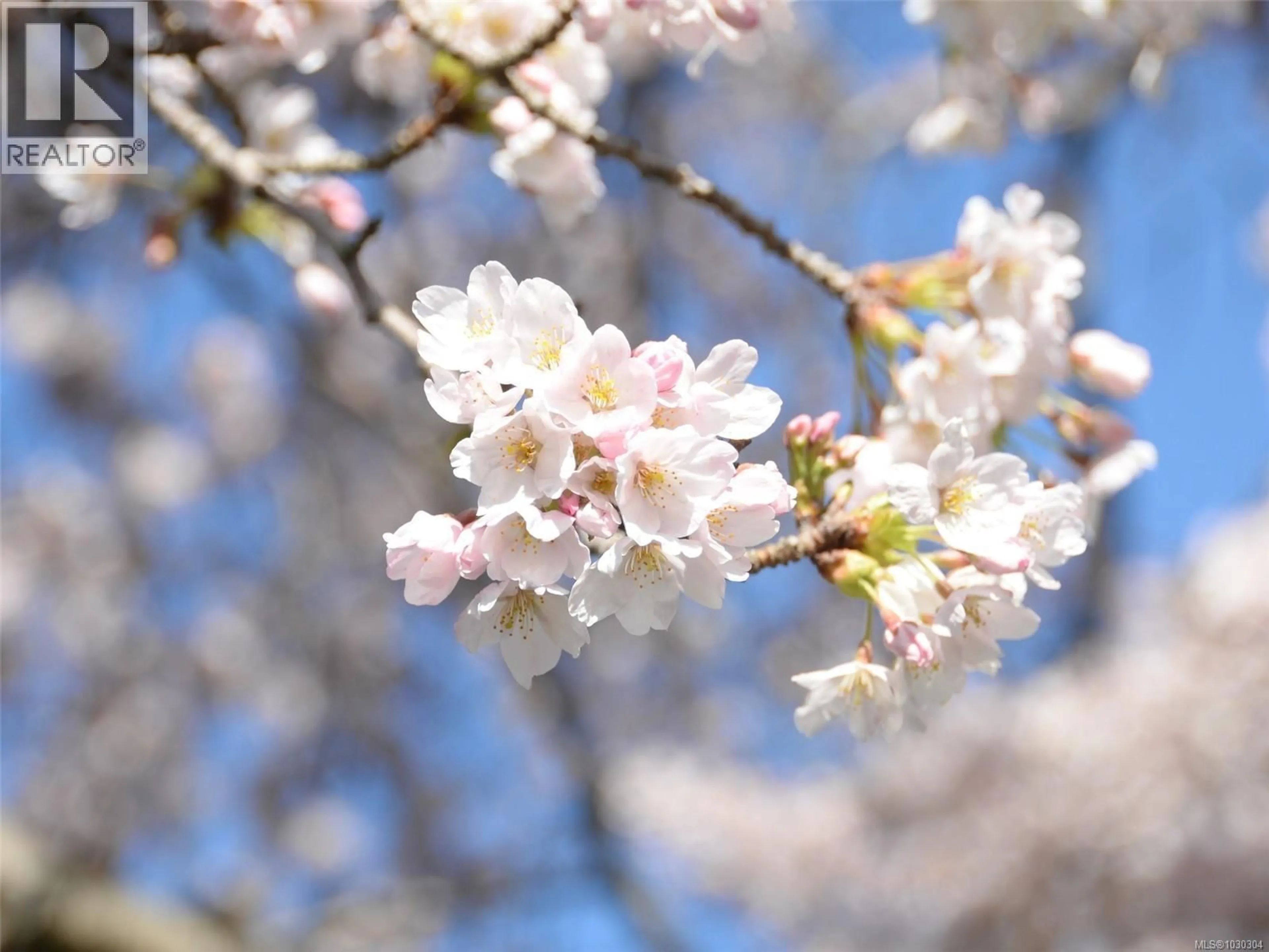 Blurry image for 212 - 964 HEYWOOD AVENUE, Victoria British Columbia V8V2Y5