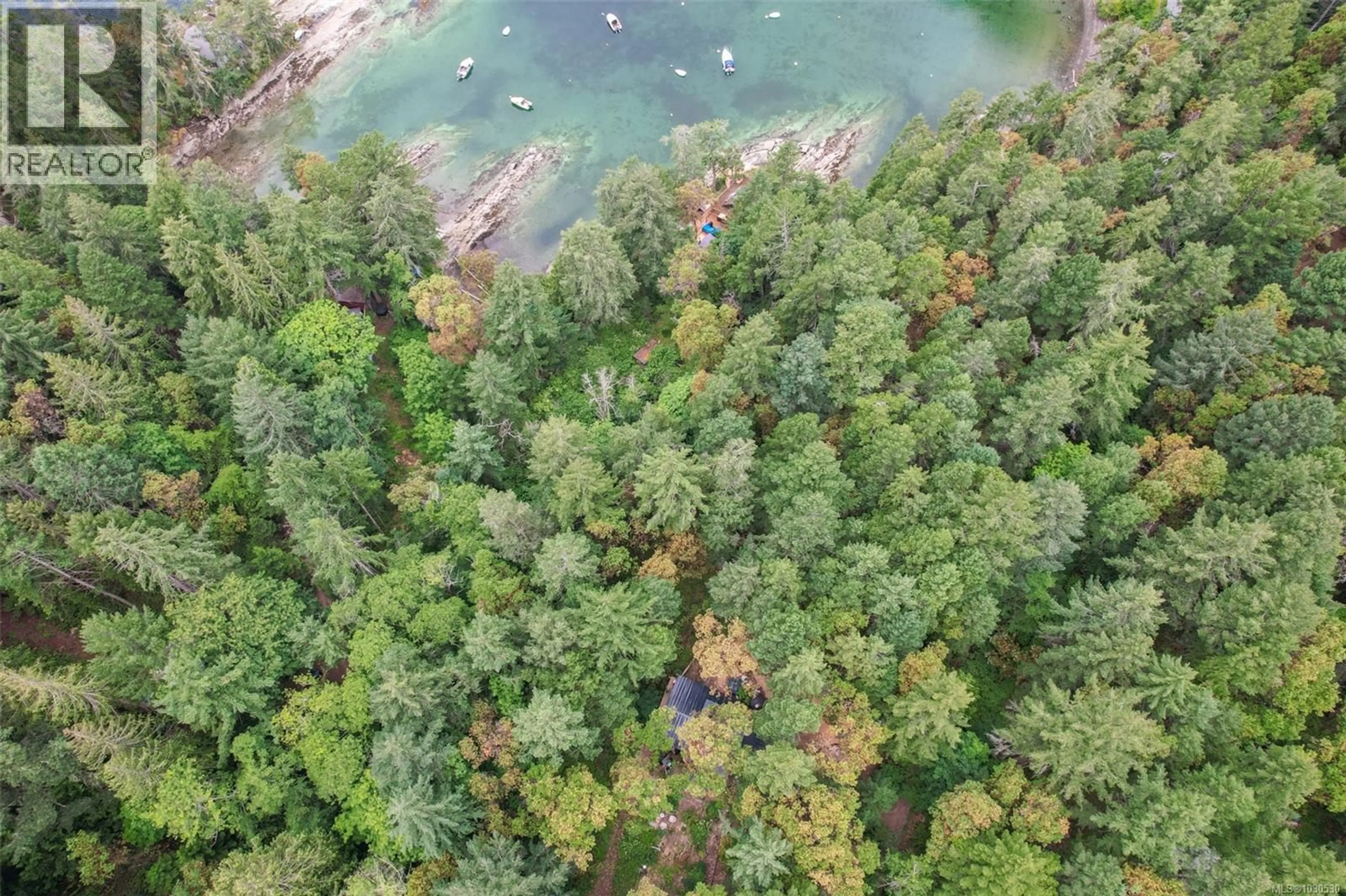 A pic from outside/outdoor area/front of a property/back of a property/a pic from drone, forest/trees view for Lot 80 RUXTON ISLAND, Ruxton Island British Columbia