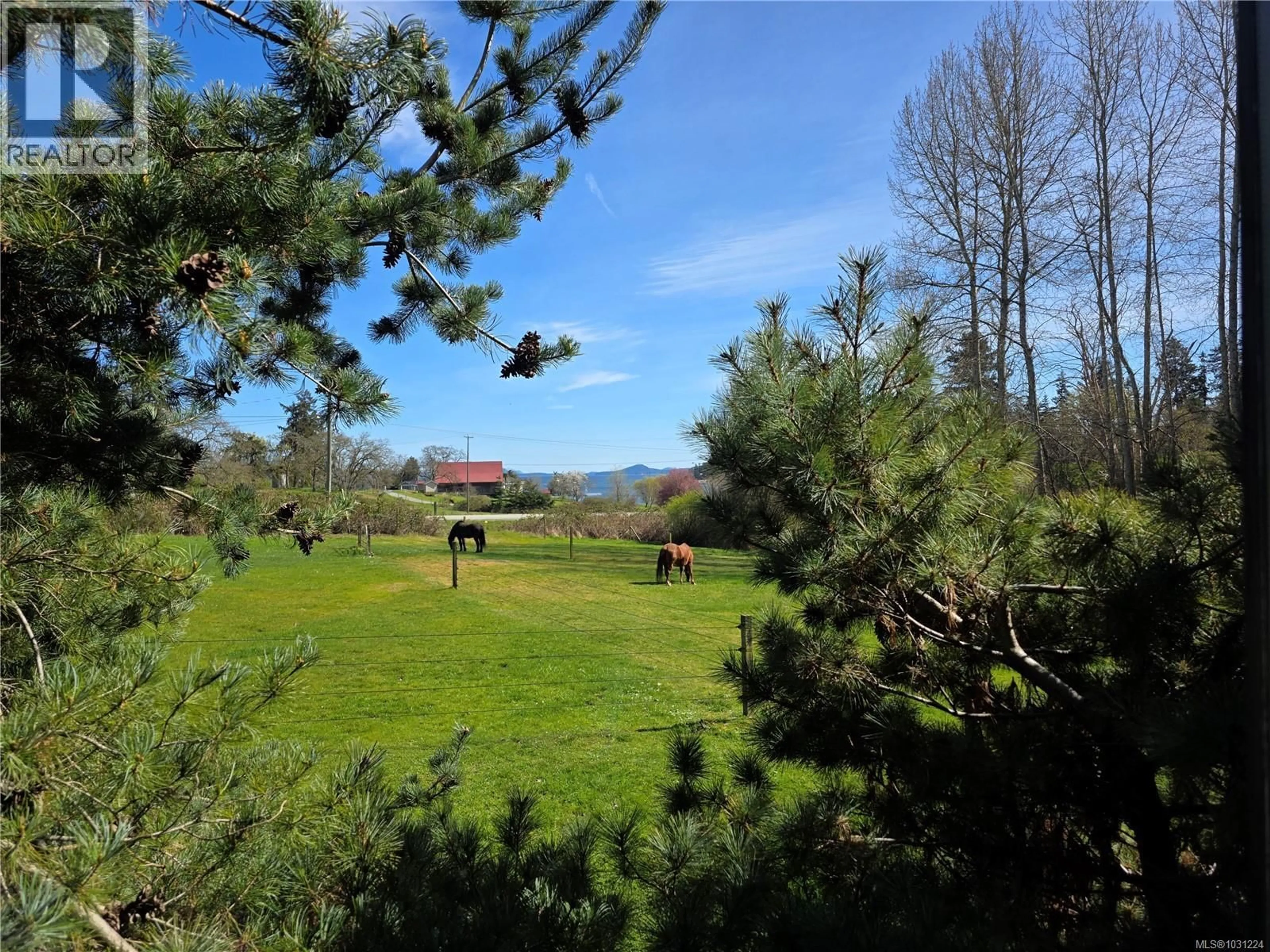 A pic from outside/outdoor area/front of a property/back of a property/a pic from drone, forest/trees view for 2035 PACE ROAD, Nanaimo British Columbia V9X1N8
