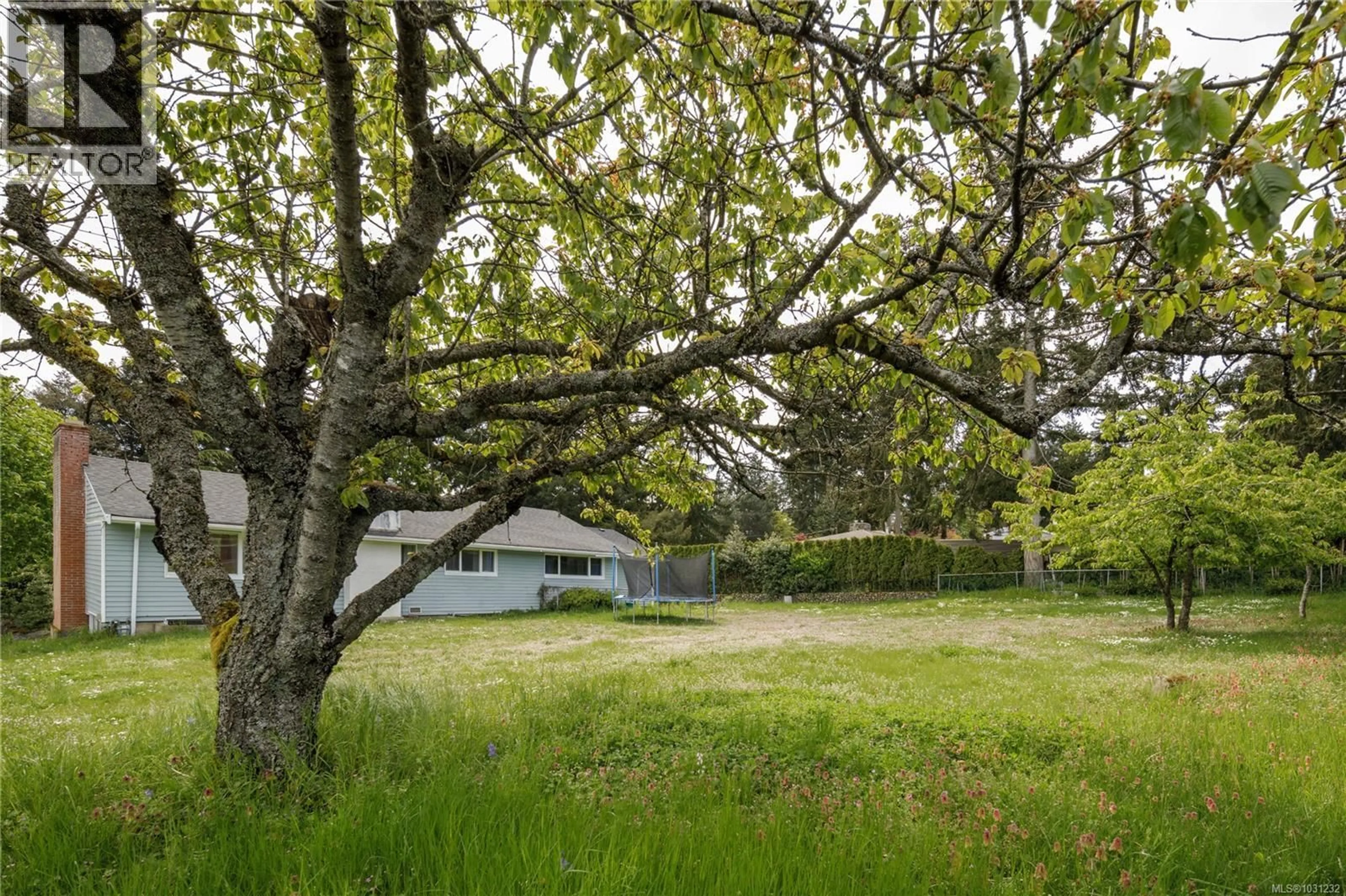 Shed for 2555 DEPARTURE BAY ROAD, Nanaimo British Columbia V9S3W2