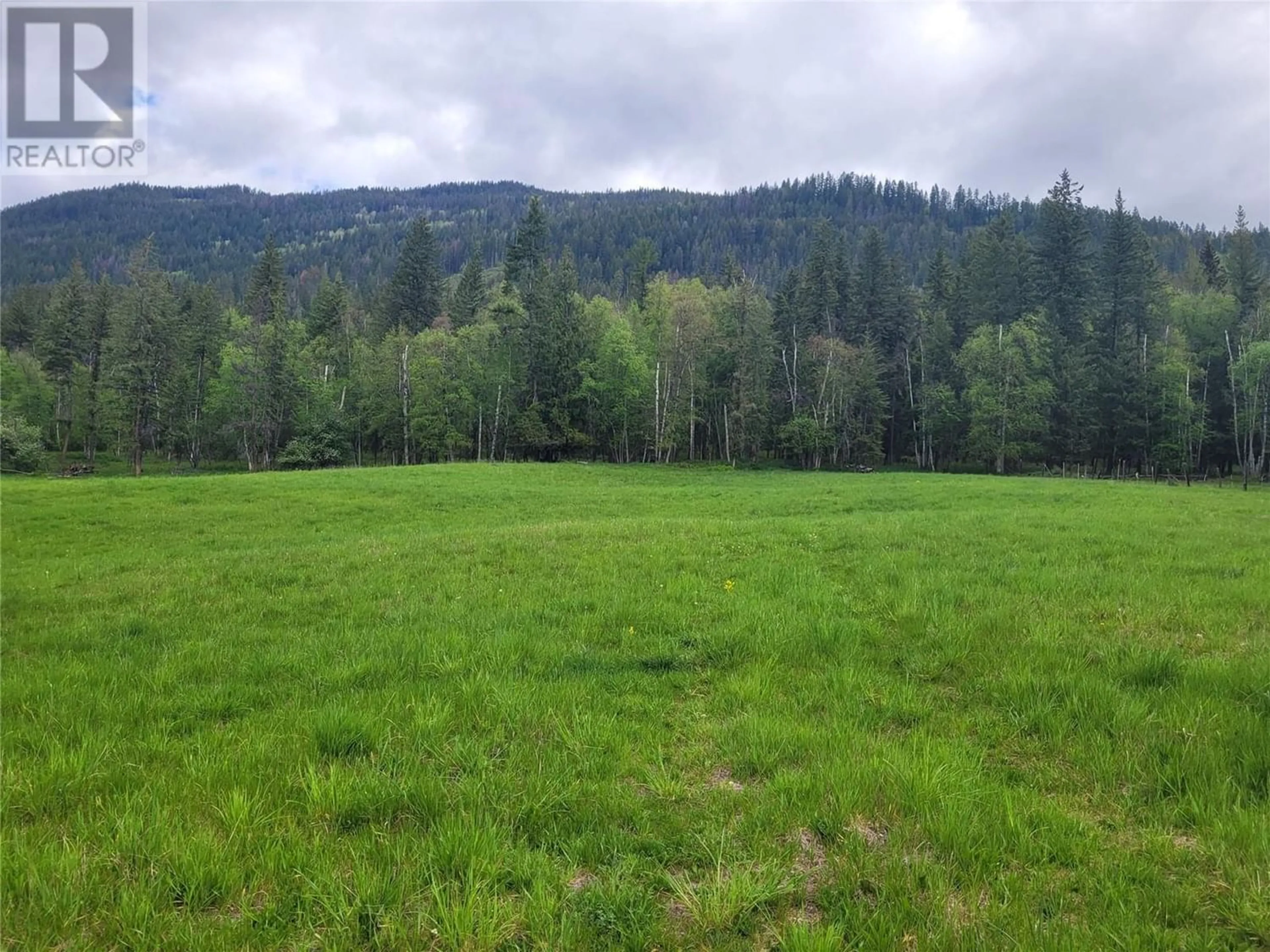 Forest view for 619 North Fork Road, Cherryville British Columbia V0E2G3