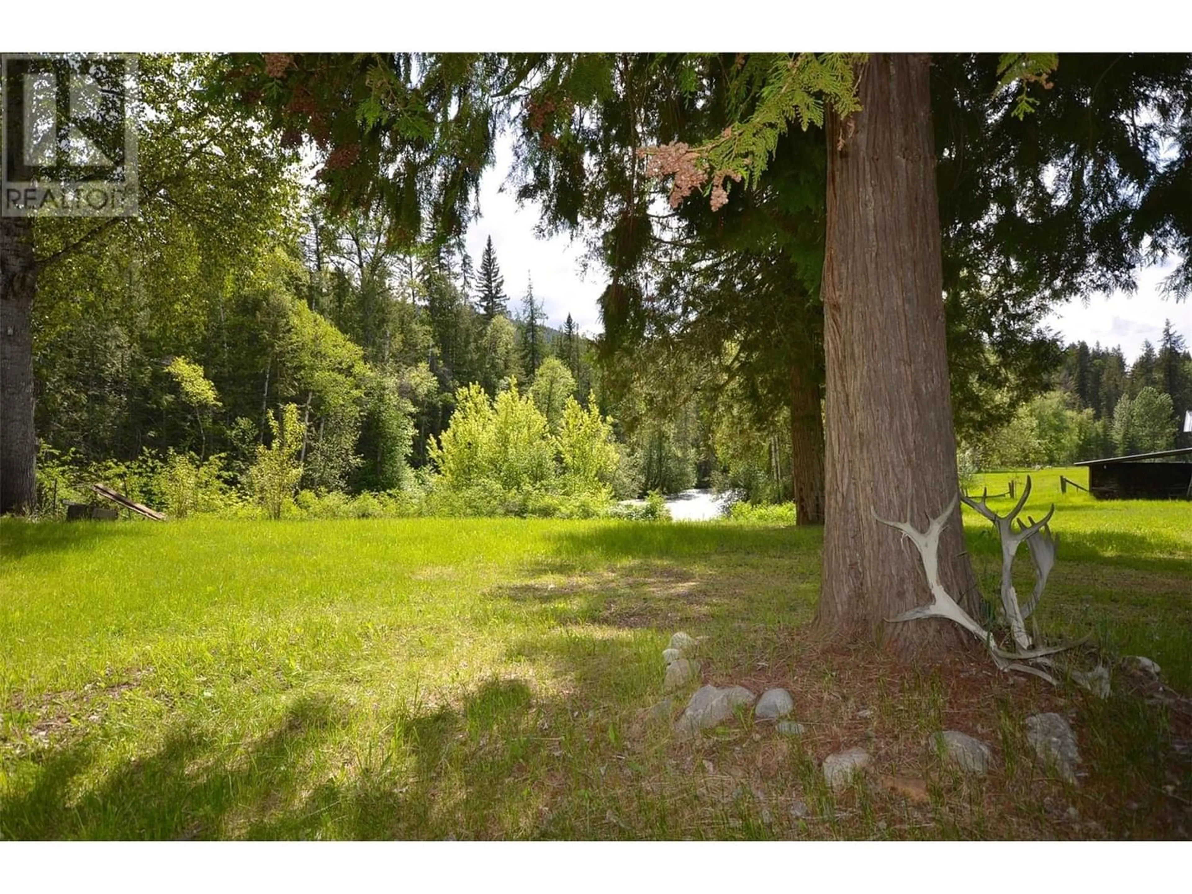Forest view for 202 North Fork Road, Cherryville British Columbia V0E2G3