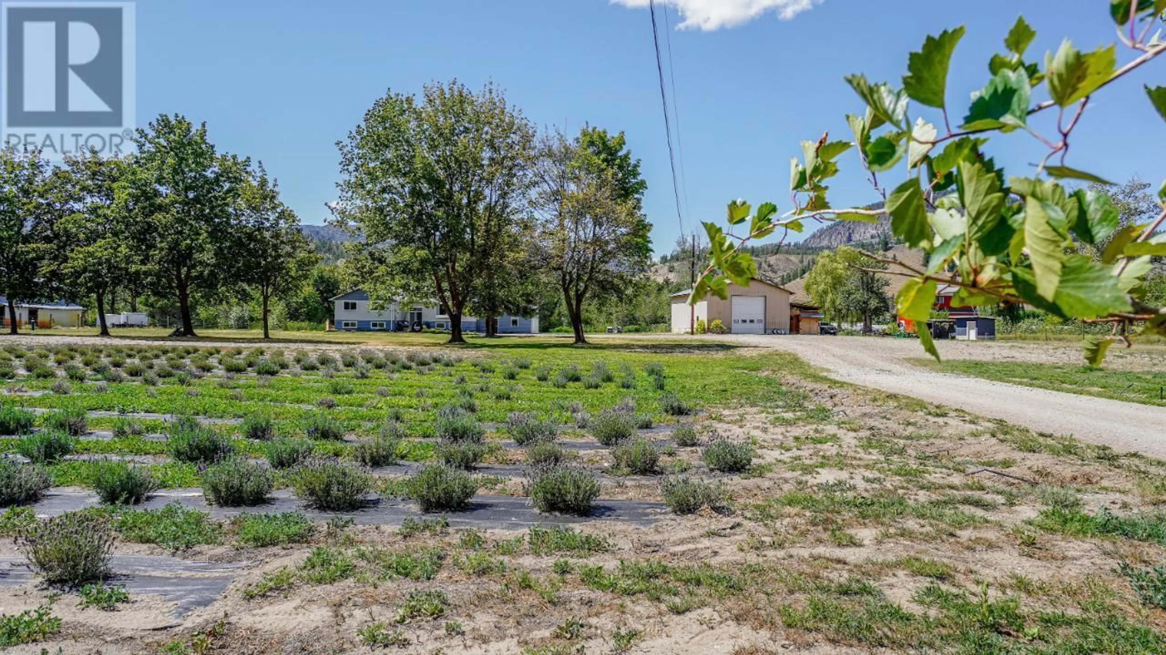 Fenced yard for 7762 ISLAND Road, Oliver British Columbia V0H1T7