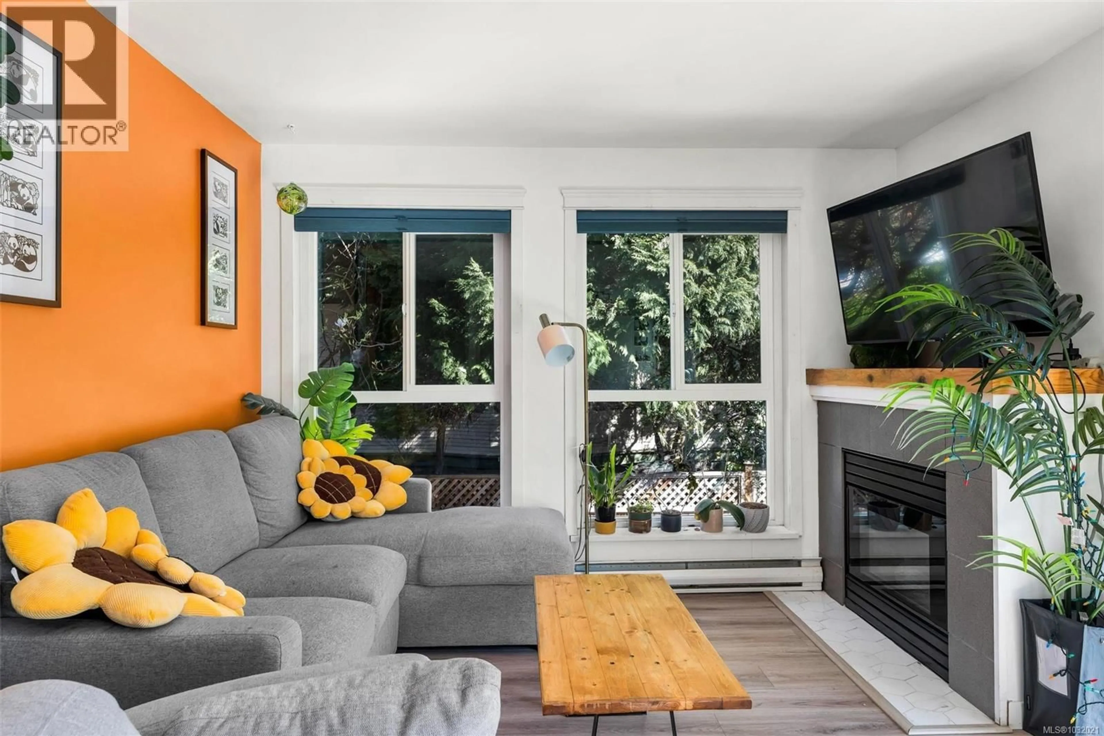 Living room with furniture, unknown for 206 - 1028 BALMORAL ROAD, Victoria British Columbia V8T1A8