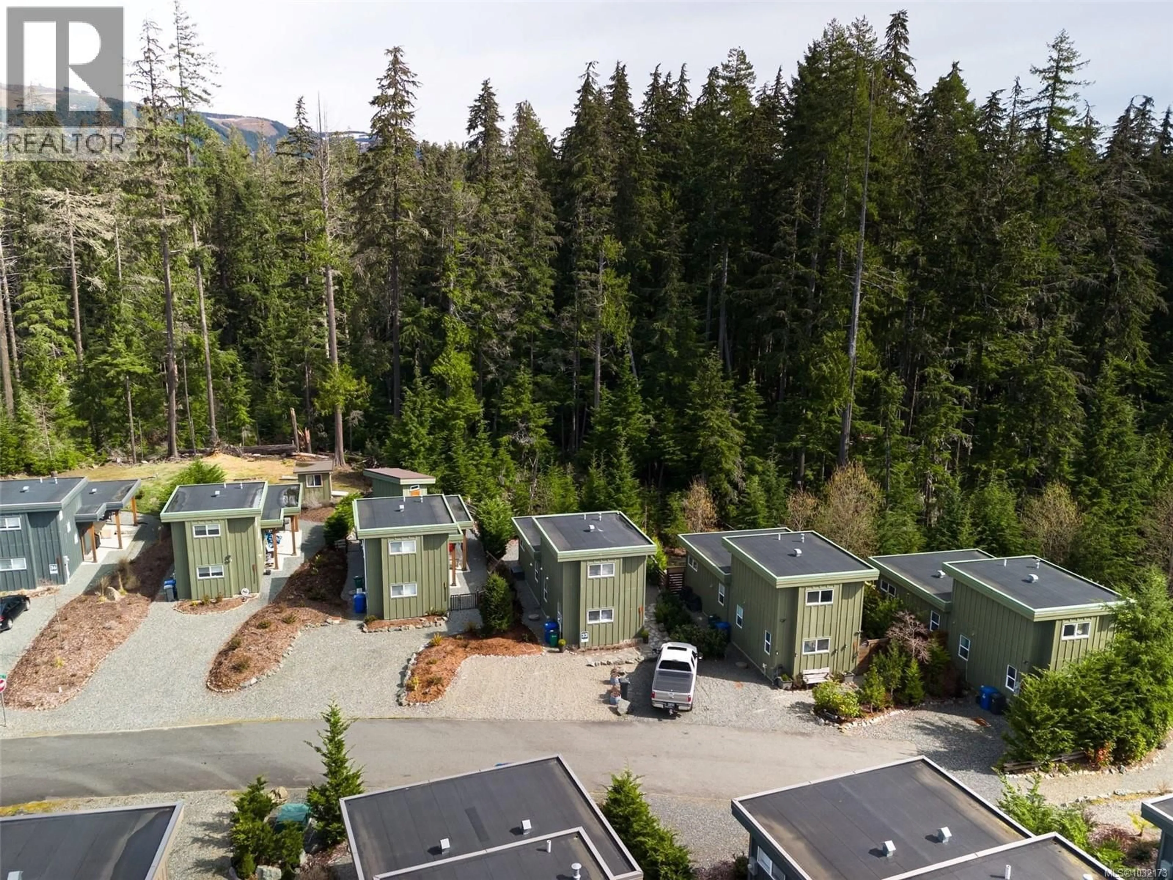 A pic from outside/outdoor area/front of a property/back of a property/a pic from drone, forest/trees view for 9327 LAKE TRAIL PLACE, Lake Cowichan British Columbia V0R2G0