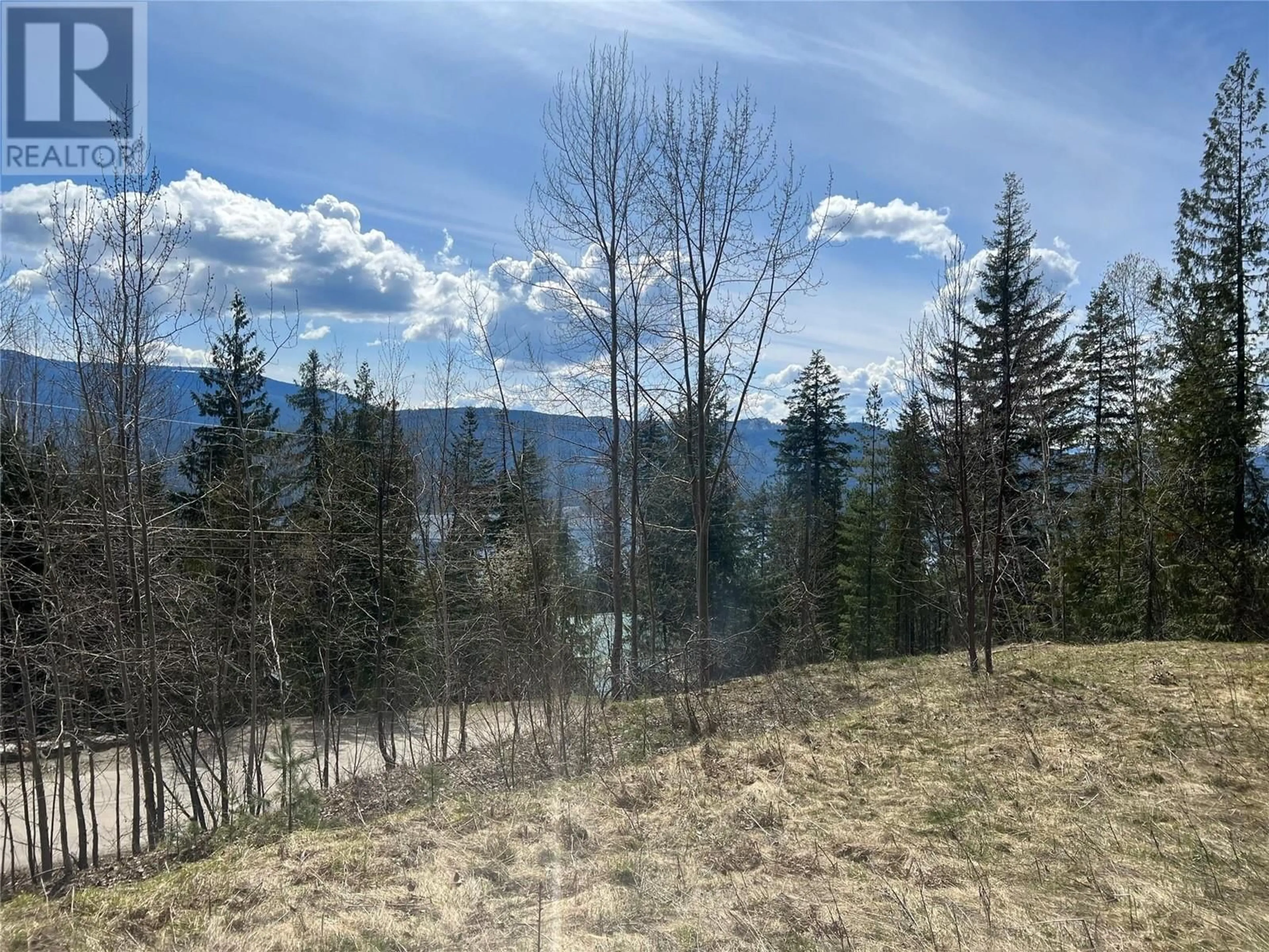 A pic from exterior of the house or condo, the view of lake or river for 7497 Anglemont Way, Anglemont British Columbia V0E1M8