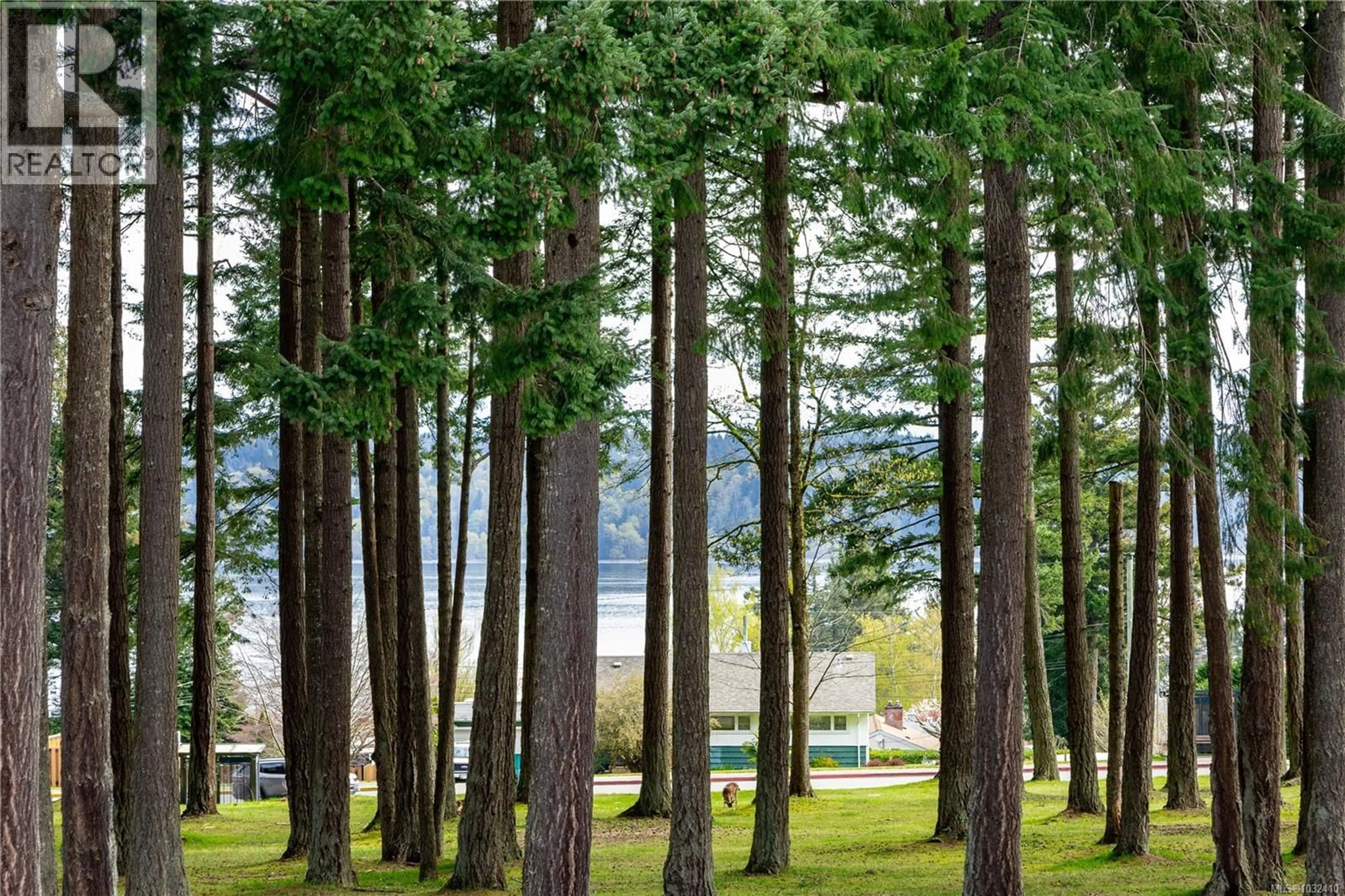 Patio, forest/trees view for 146 CORONATION CRESCENT, Campbell River British Columbia V9W3T6