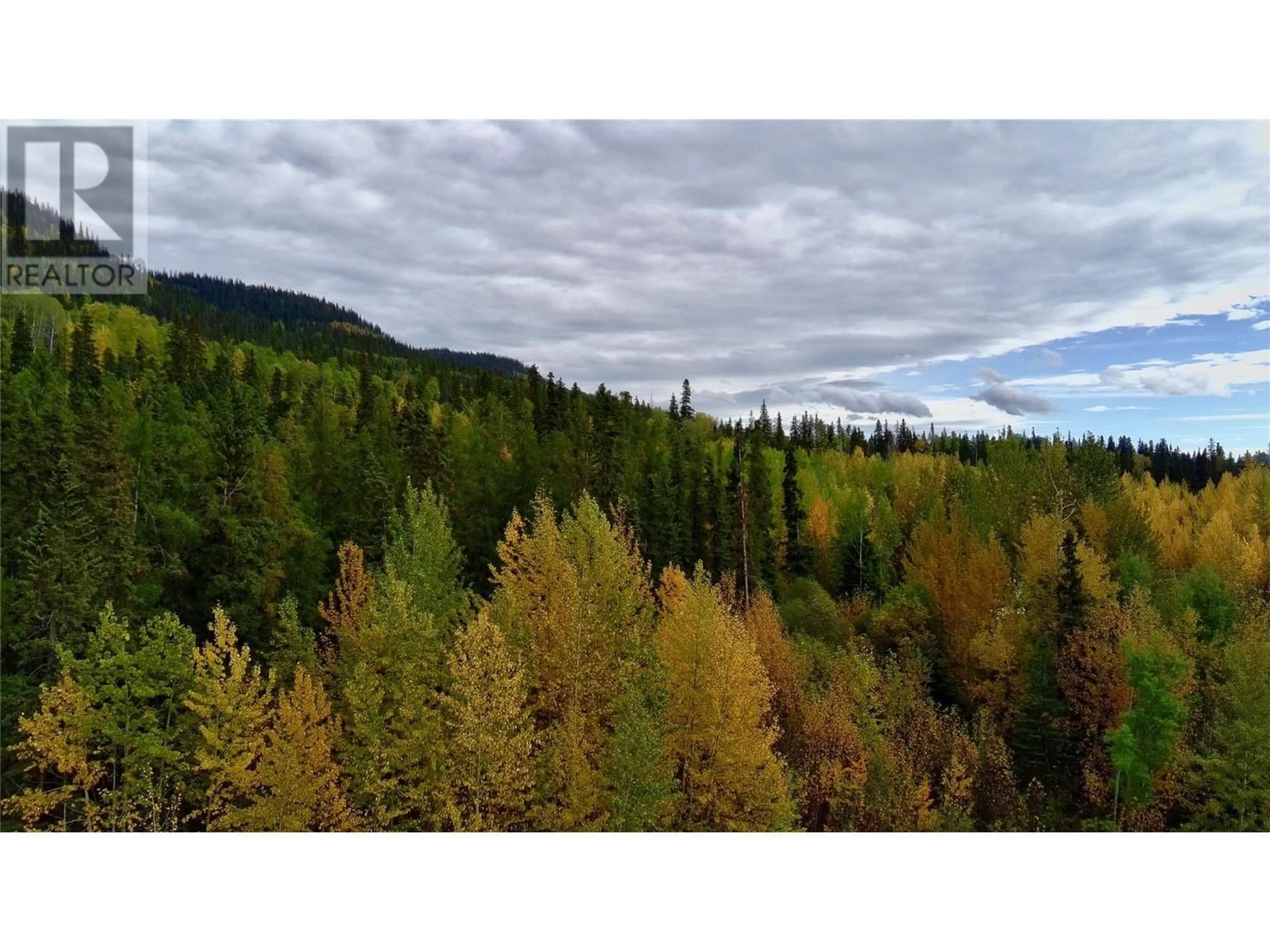 A pic of a room for 44 Sukunka Place, Tumbler Ridge British Columbia V0C2W0