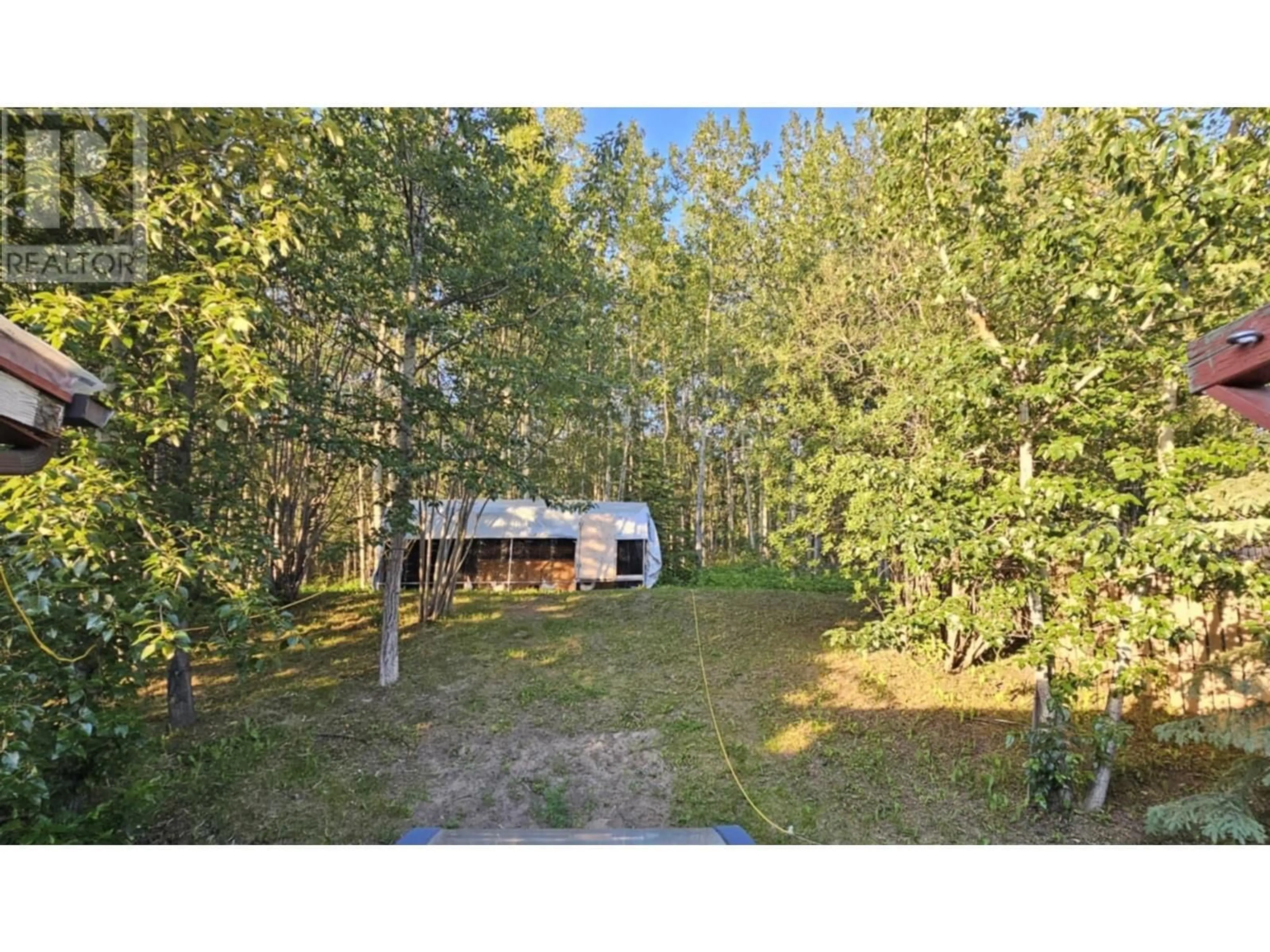 A pic from outside/outdoor area/front of a property/back of a property/a pic from drone, forest/trees view for 156 GWILLIM CRESCENT, Tumbler Ridge British Columbia V0C2W0
