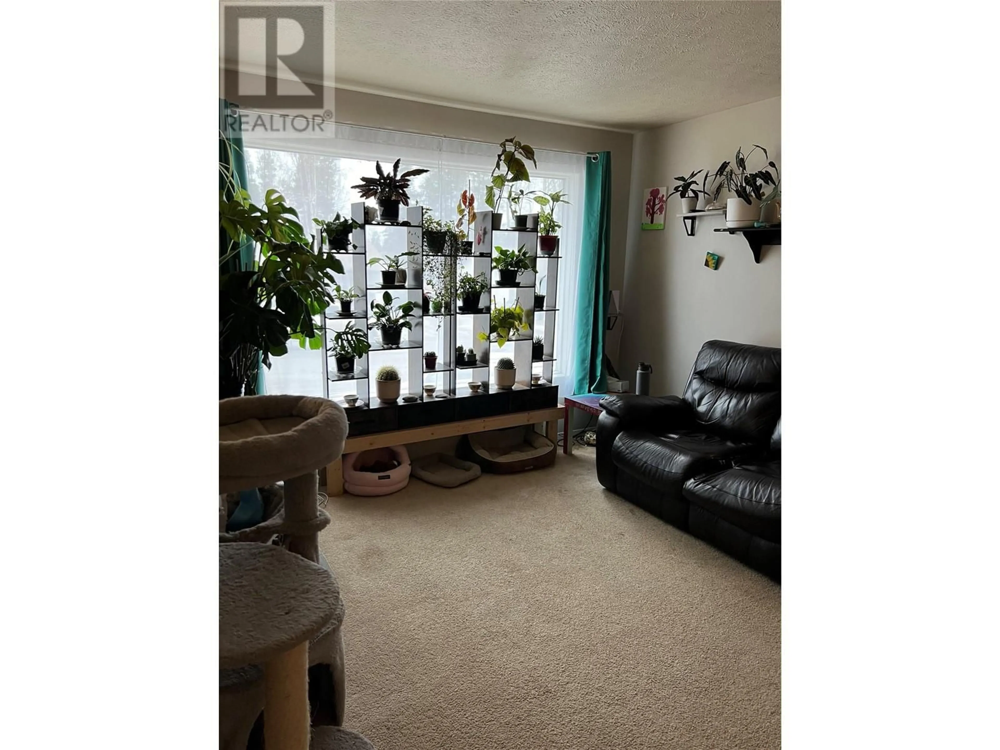 Living room with furniture, unknown for 156 GWILLIM CRESCENT, Tumbler Ridge British Columbia V0C2W0