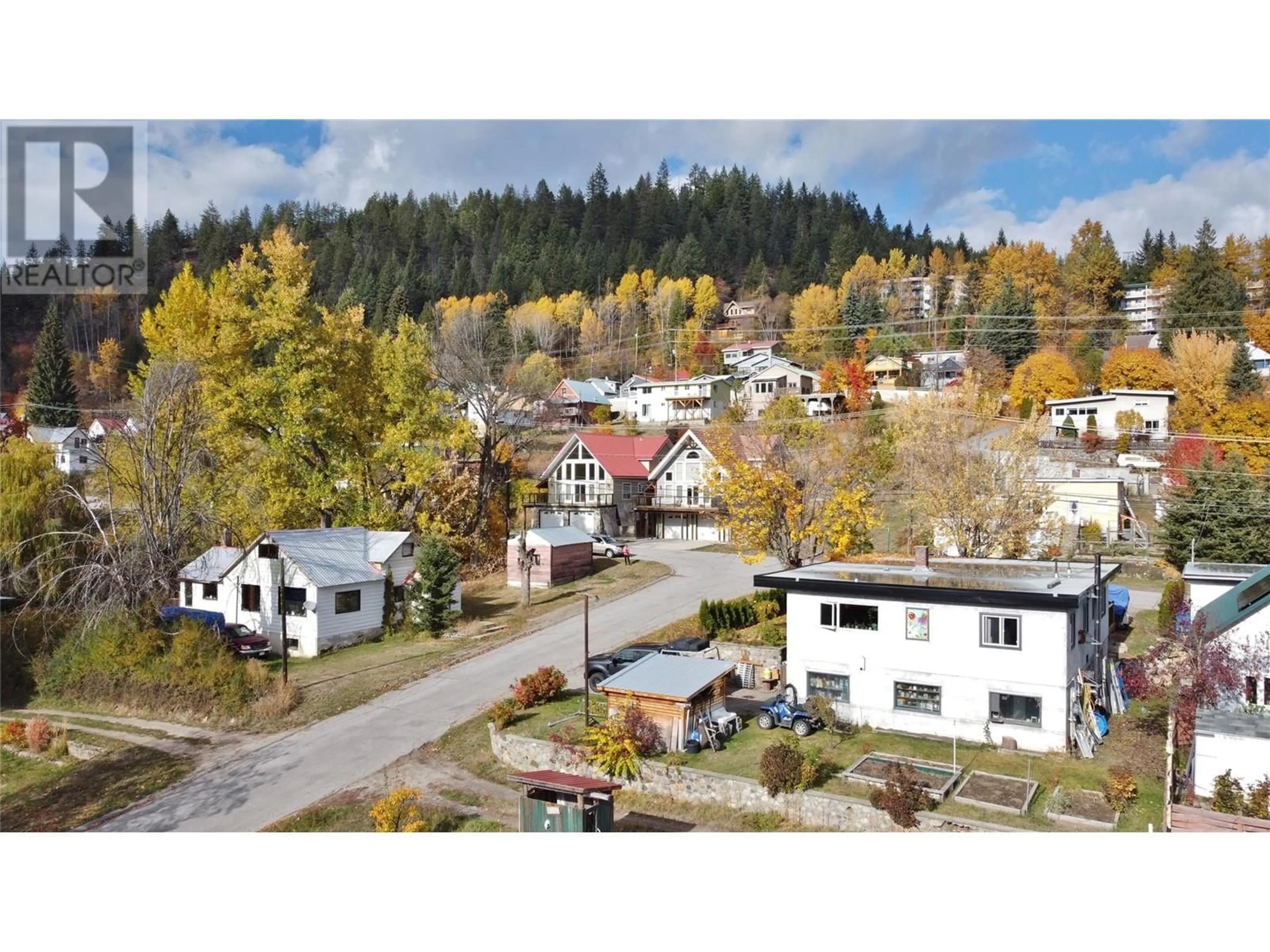 Frontside or backside of a home, the street view for 1613 LeRoi Avenue, Rossland British Columbia V0G1Y0