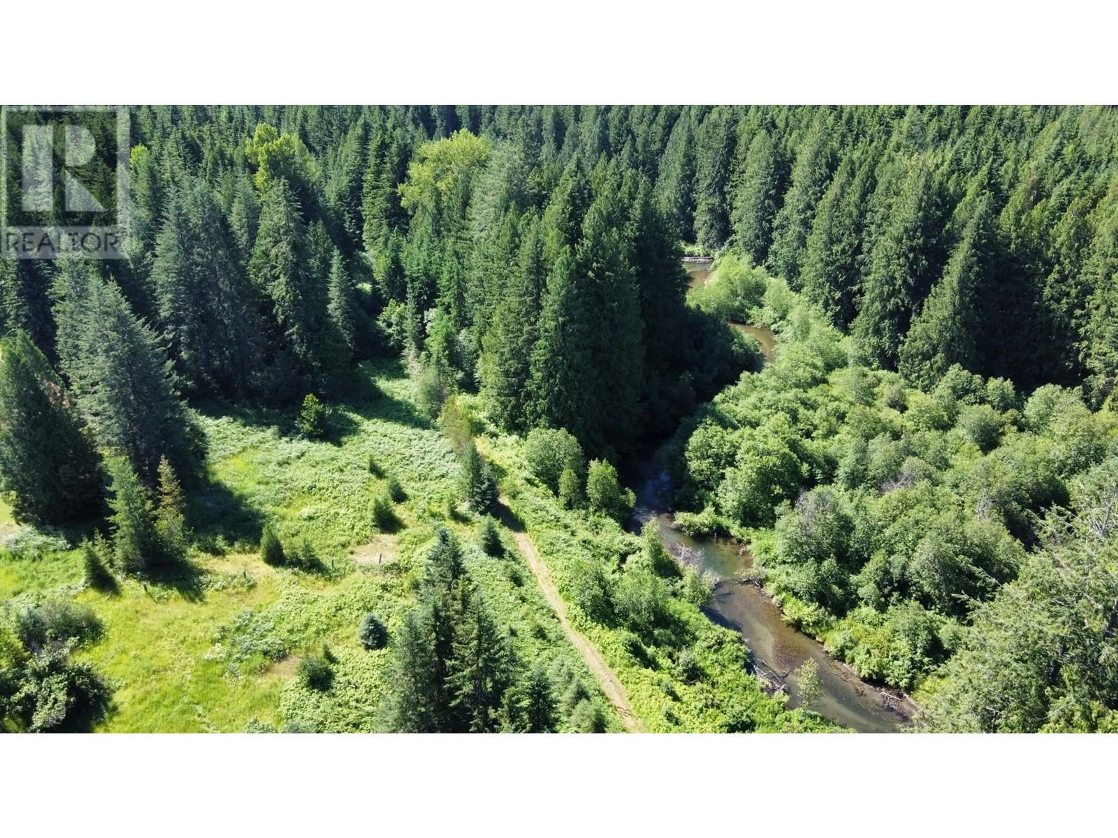 A pic from outside/outdoor area/front of a property/back of a property/a pic from drone, forest/trees view for 106 BALDWIN ROAD ROAD, Hills British Columbia V0G1S1