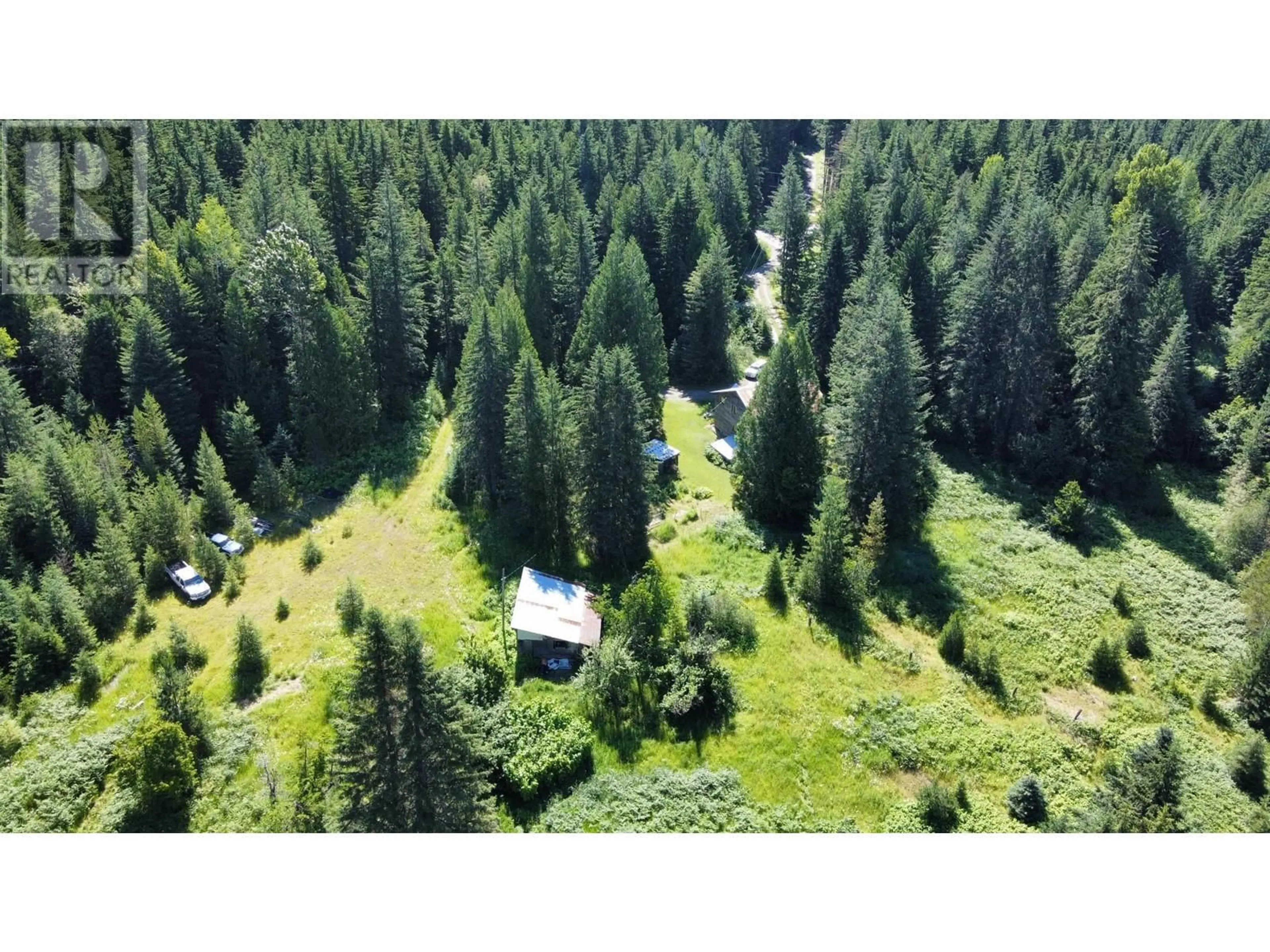 A pic from outside/outdoor area/front of a property/back of a property/a pic from drone, forest/trees view for 106 BALDWIN ROAD ROAD, Hills British Columbia V0G1S1
