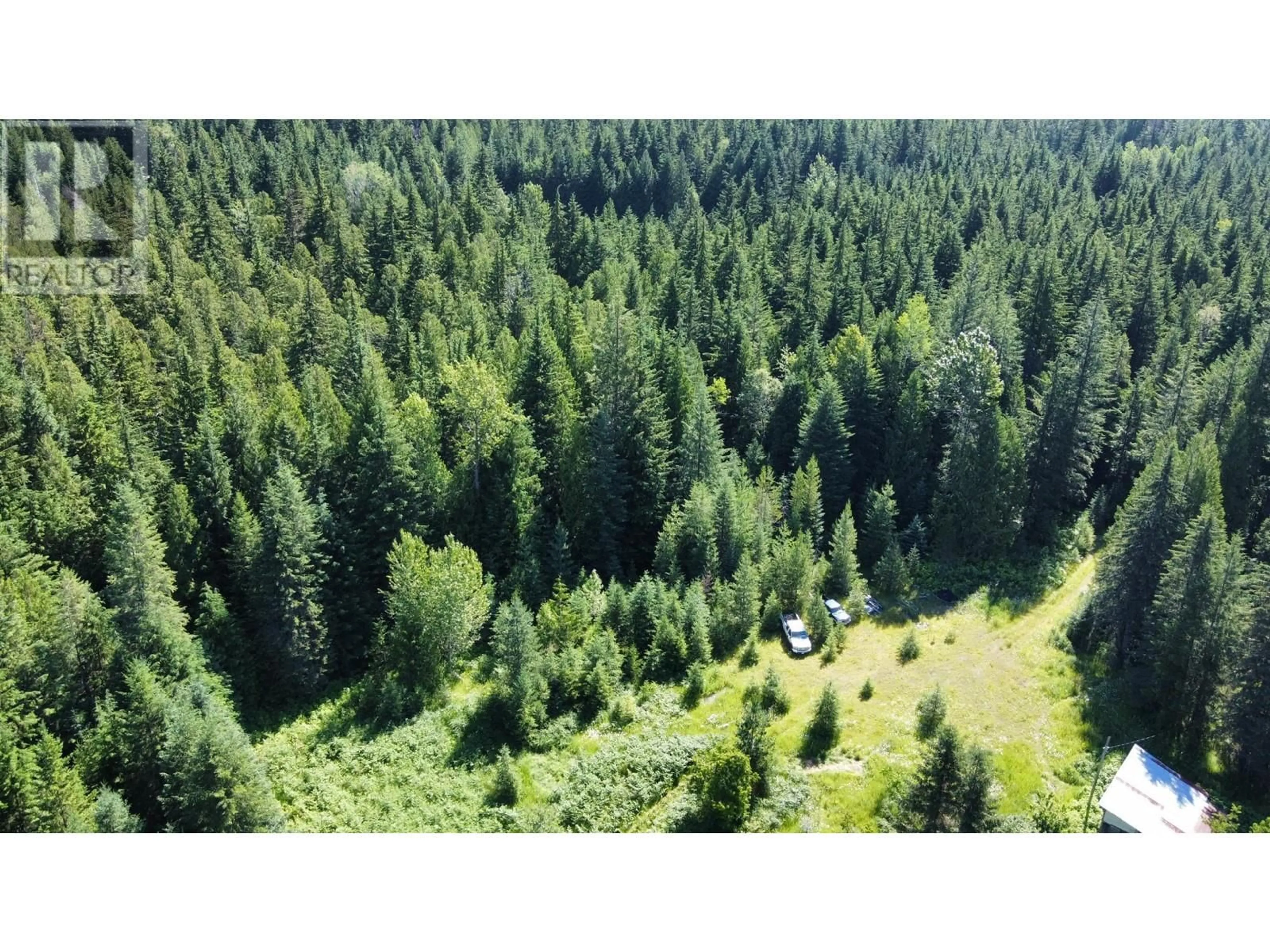 A pic from outside/outdoor area/front of a property/back of a property/a pic from drone, forest/trees view for 106 BALDWIN ROAD ROAD, Hills British Columbia V0G1S1