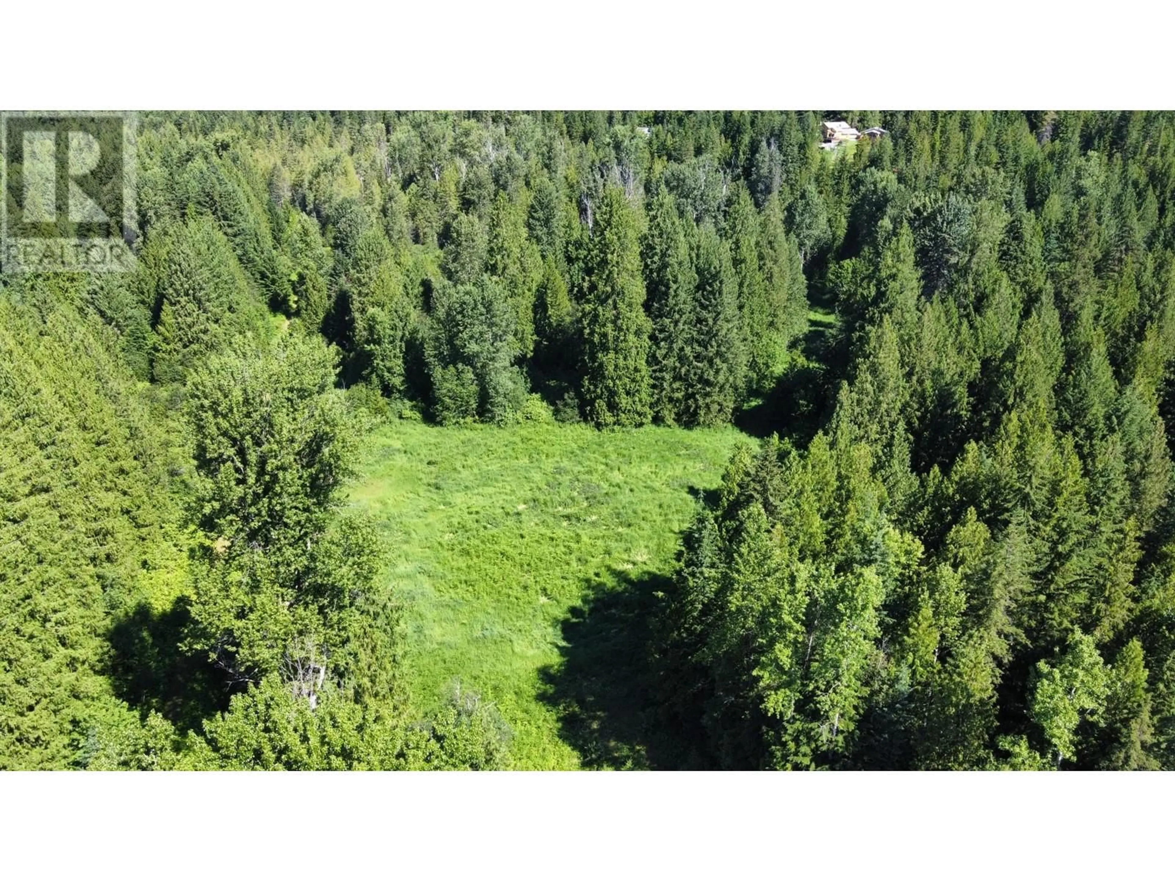 A pic from outside/outdoor area/front of a property/back of a property/a pic from drone, forest/trees view for 106 BALDWIN ROAD ROAD, Hills British Columbia V0G1S1
